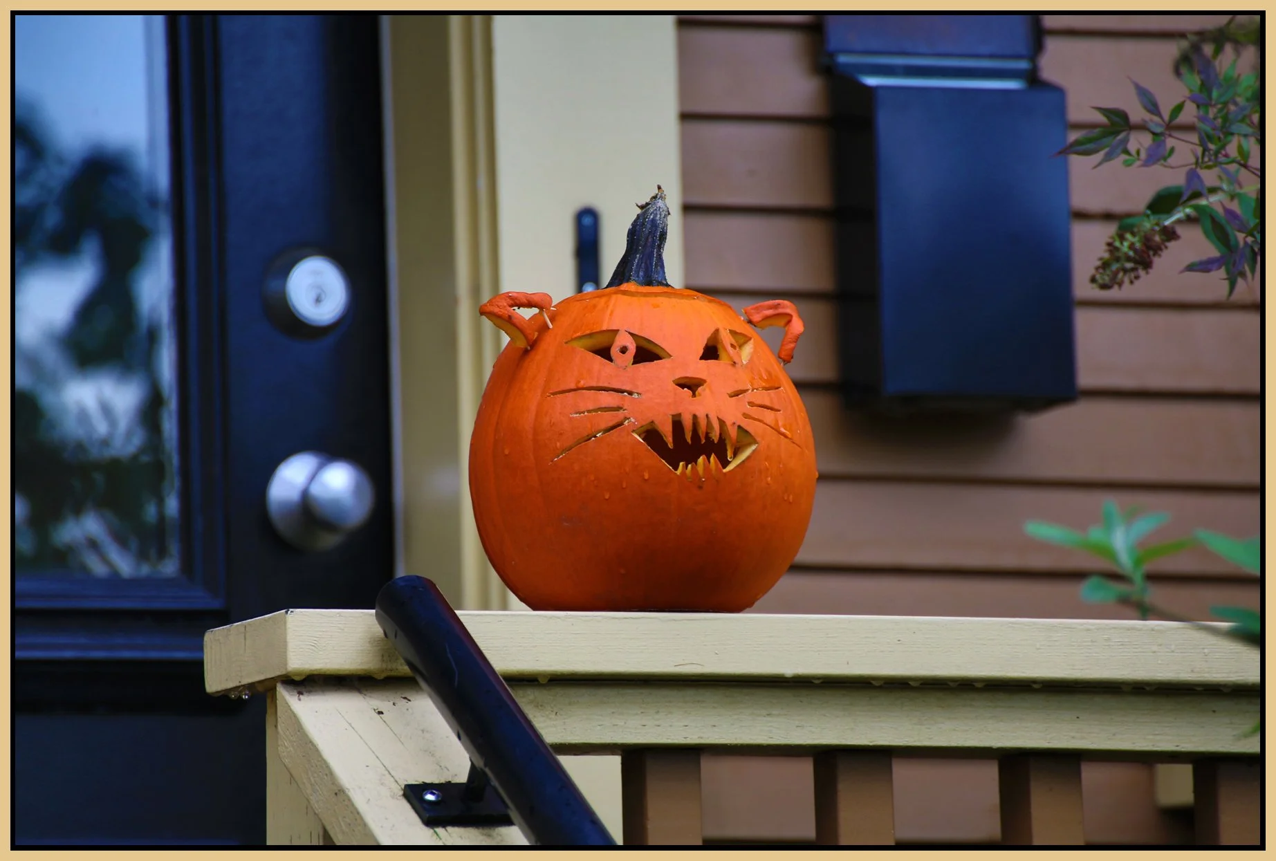 740 Princess Pumpkin_Oct 29_2014_HDR_F0744_4x6s.jpg