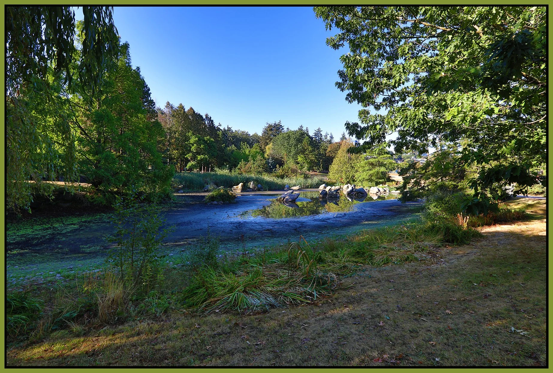Charleson Pk Pond_Sep 7_2022_HDR_5B7283_4x6s.jpg