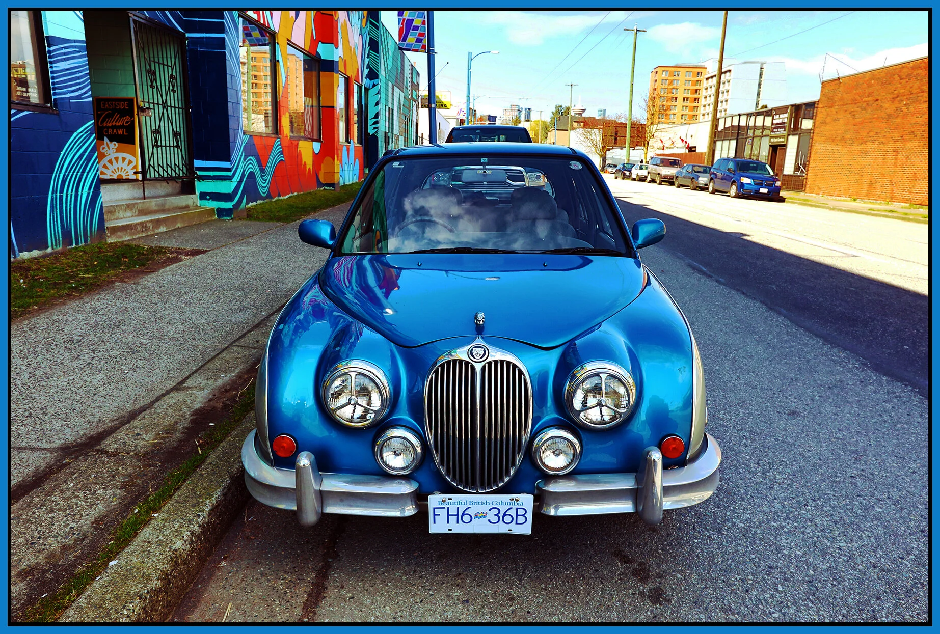 Jaguar Mini_ Mar 2018_HDR_C1954_peFltnHistgrm_4x6 2s.jpg