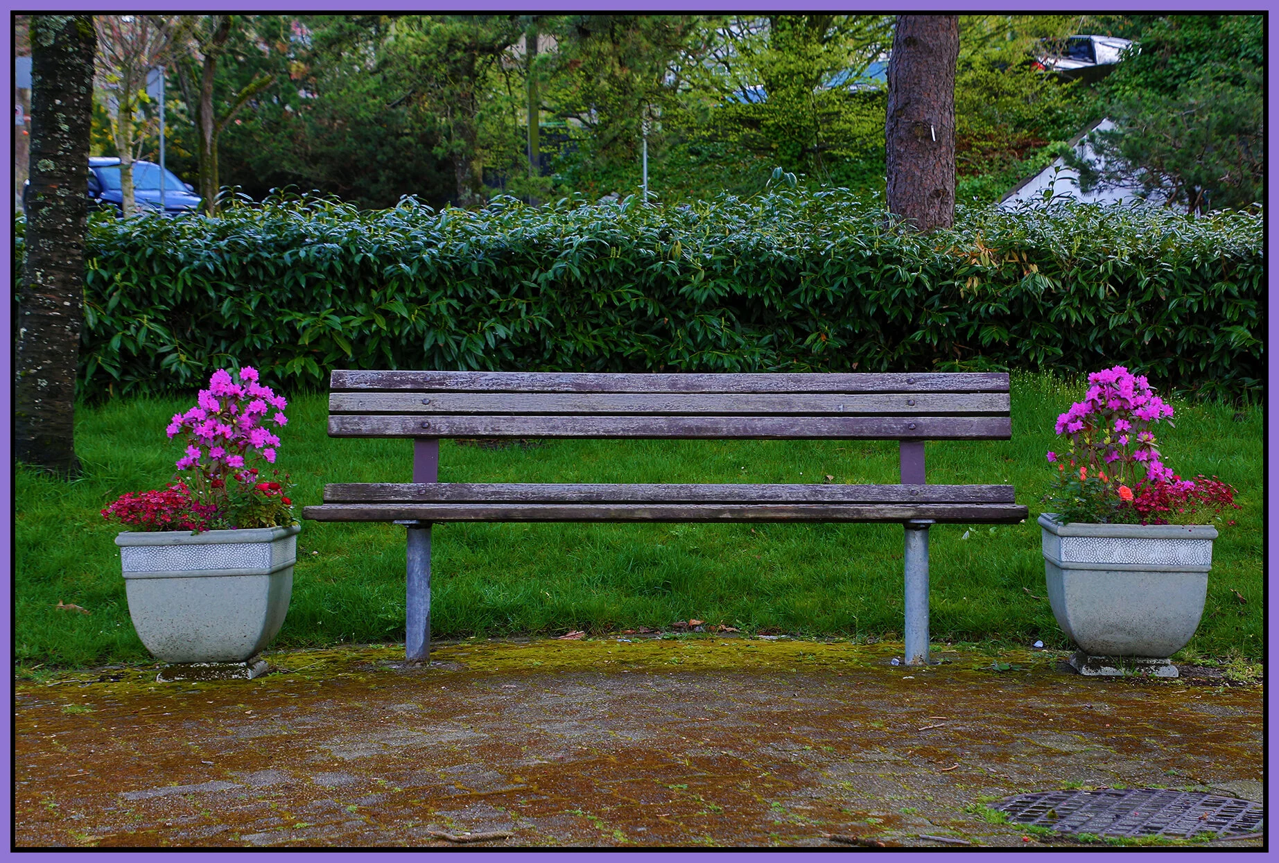 Bench at 1 View_Apr 10_2019_HDR_A3950_4x6s.jpg