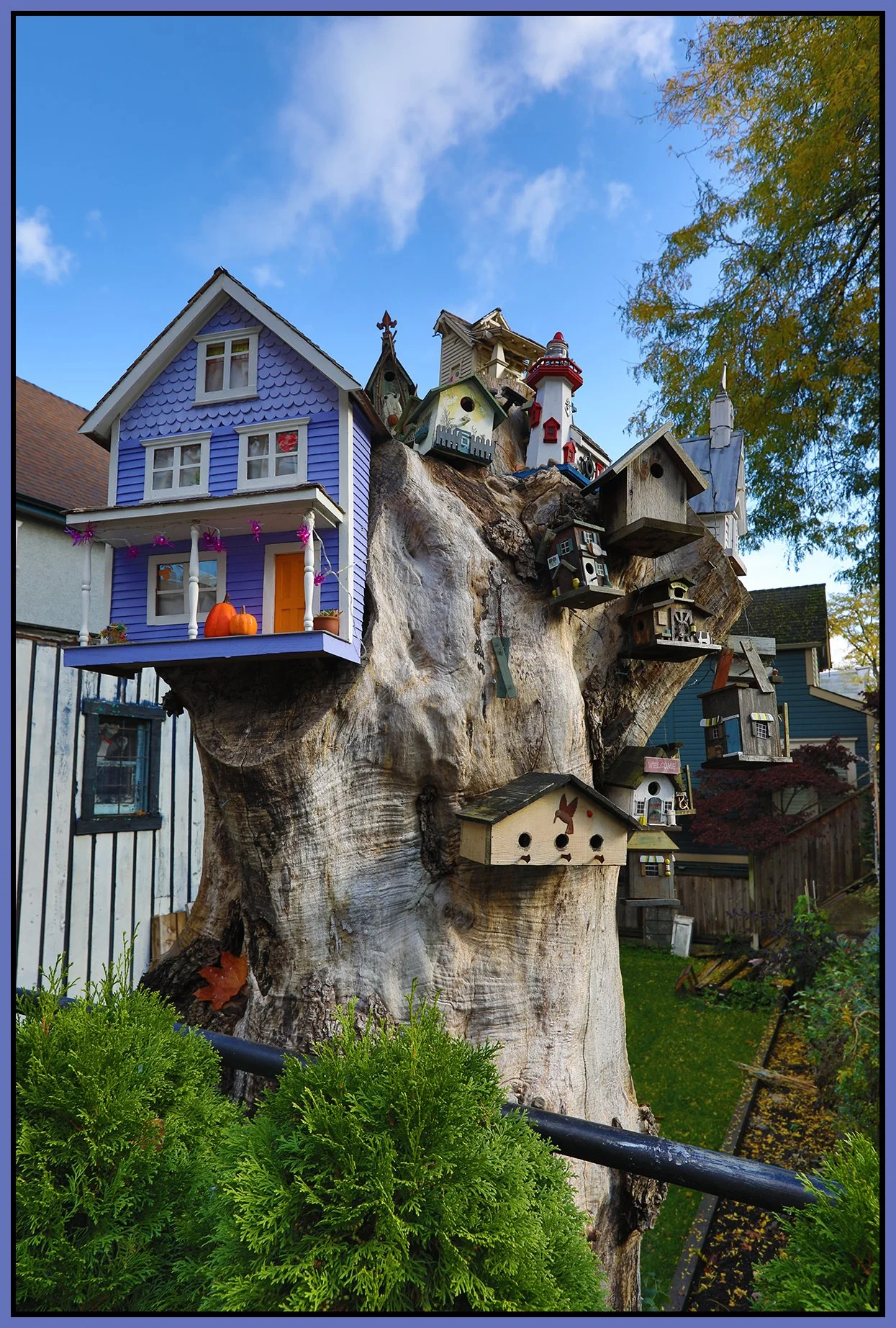 580 Heatley Tree Houses_Oct 23_2024_HDR_5E3411_4x6s.jpg