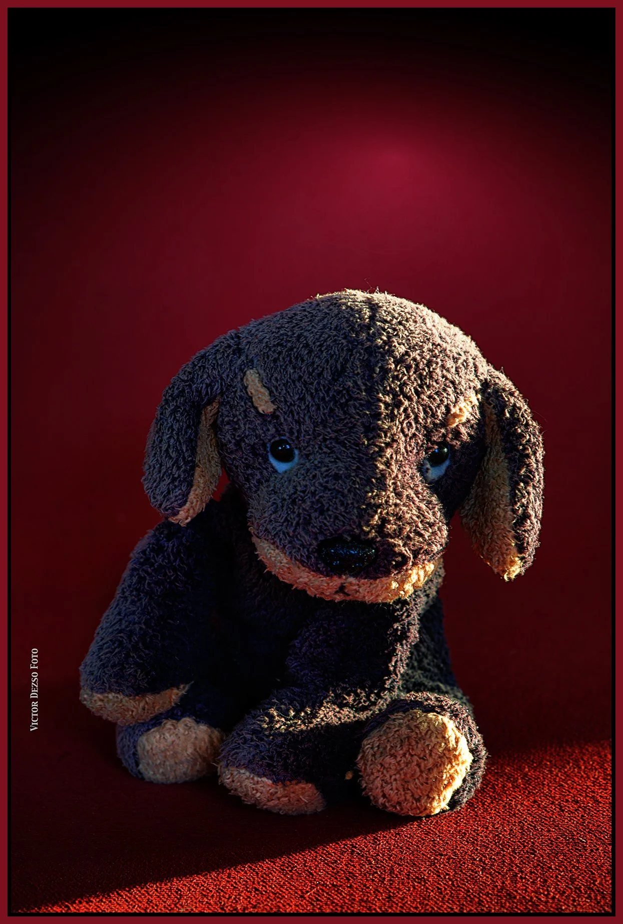 Purple Puppy_Aug 20_2025_HDR_5F5295_peDrkn_ShrpfctBrtnd_4x6s.jpg