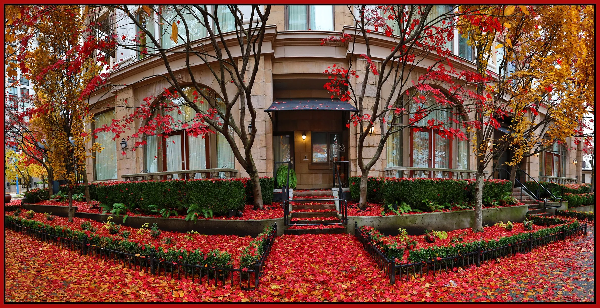 499 Drake St Trees_Nov 25_2022_HDR_Pan_5C7891_1_4x8s.jpg