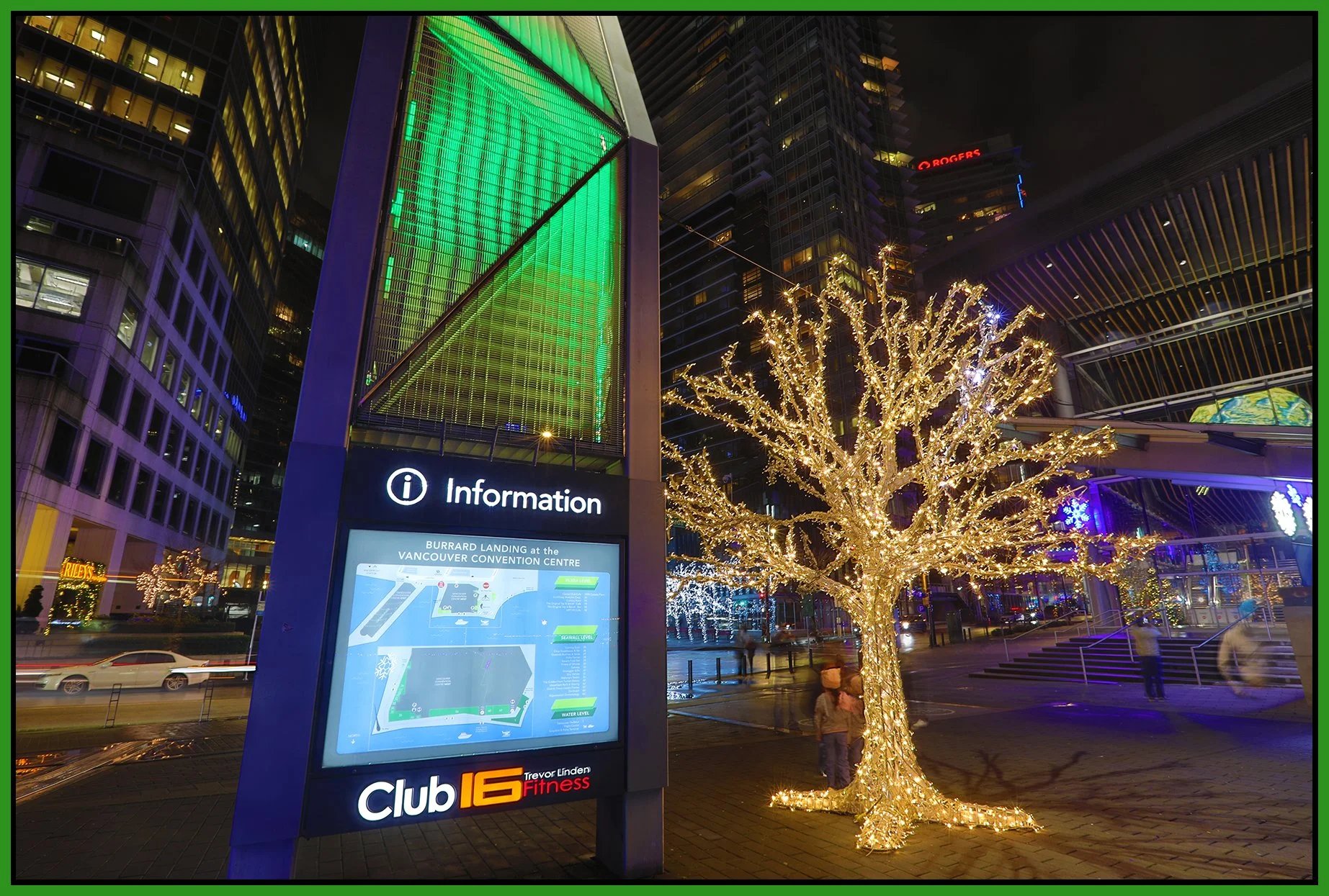 Burrard Landing Tree_Dec 29_2024_HDR_4J5115_4x6s.jpg