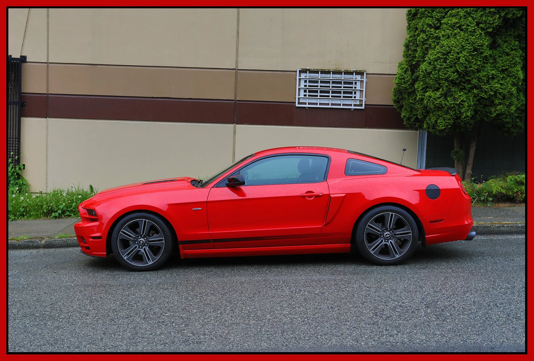 Ford Mustang_May 24_2021_HDR_4G9078_4x6s.jpg