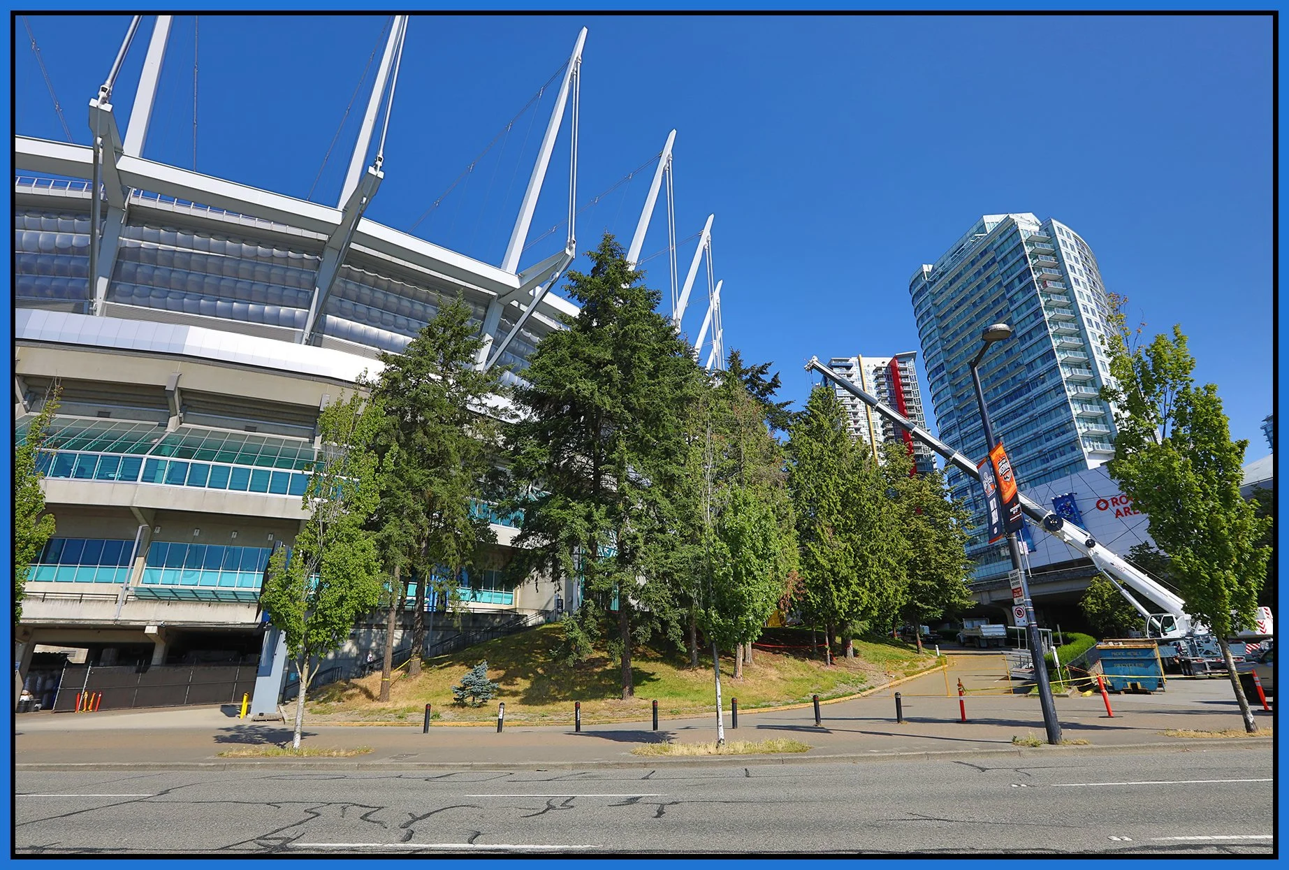 Stadium Trees_Jul 11_2024_HDR_5E7354_4x6s.jpg