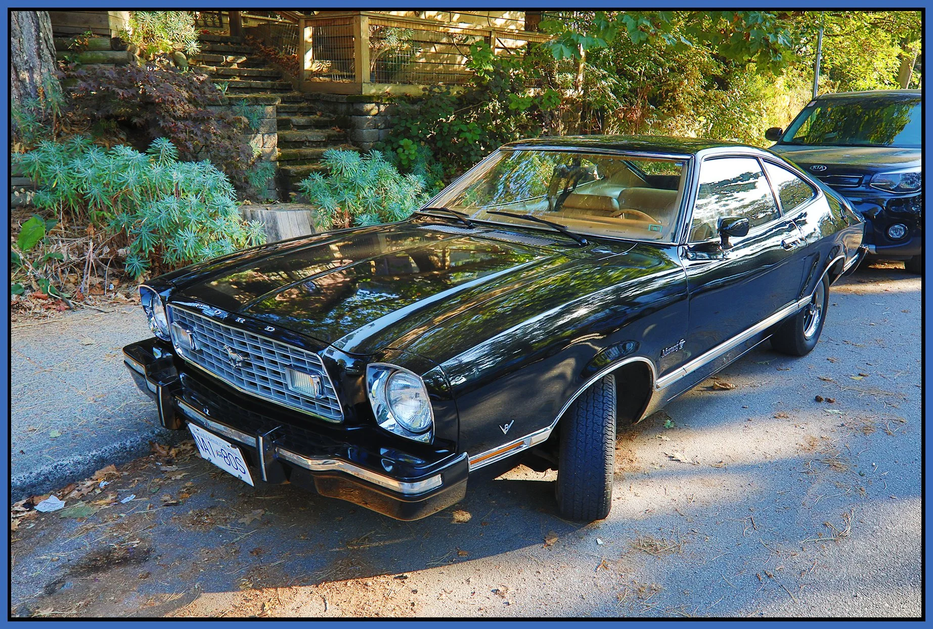 Ford Mustang 1978_Oct 14_2022_HDR_5C3048_4x6s.jpg
