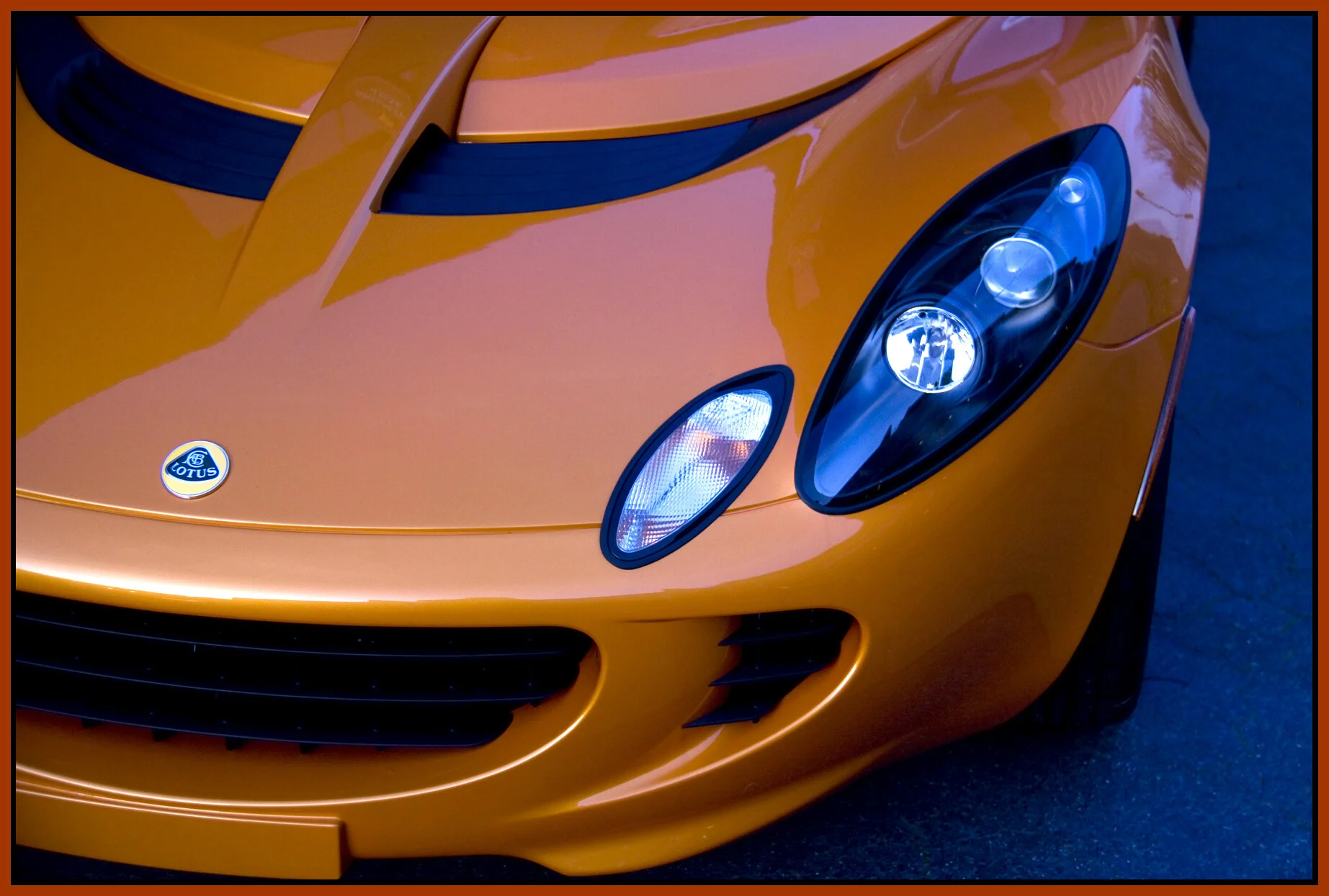 Lotus_Feb 14_10_9815_4x6s.jpg