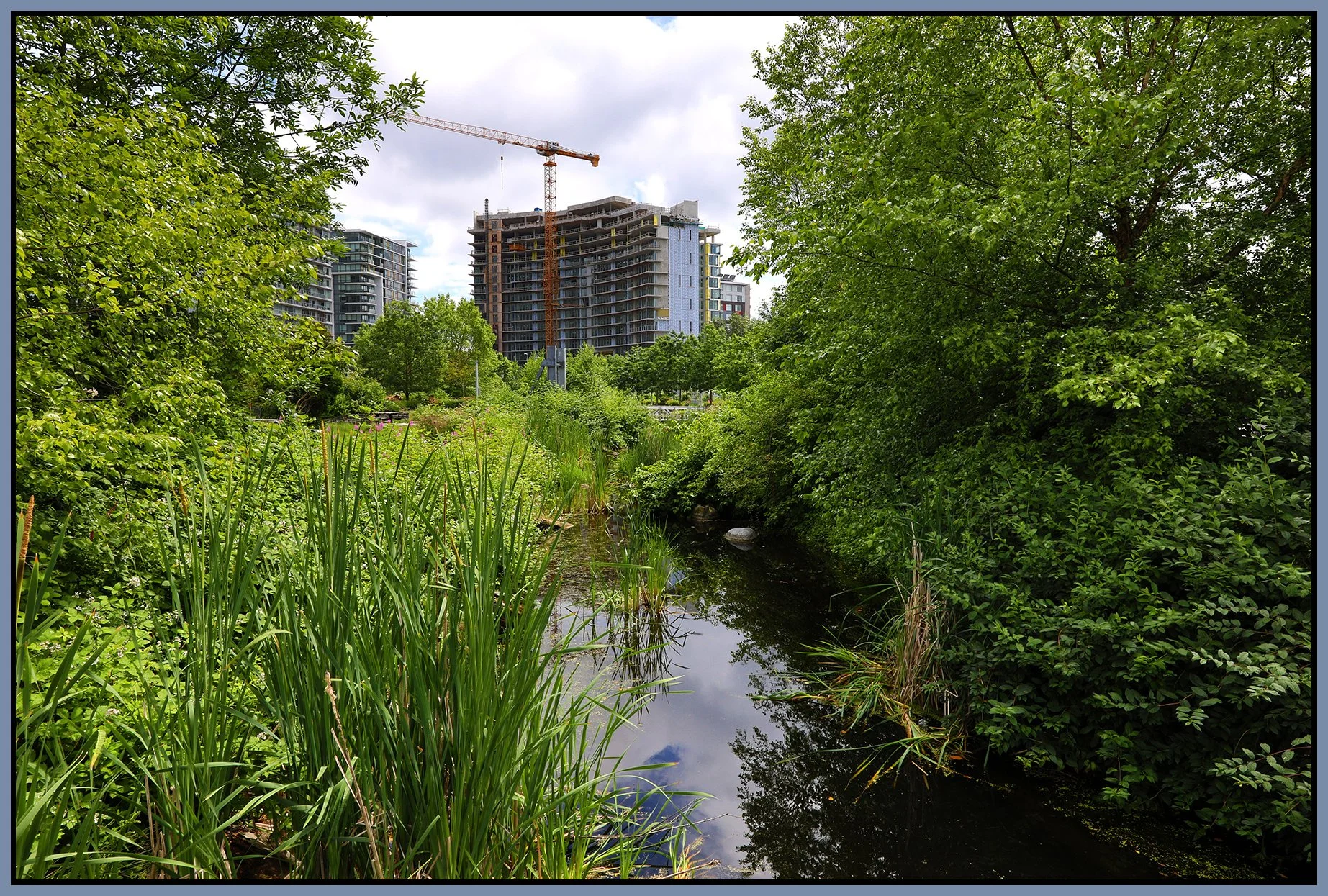 False Creek Ck Const_Jun 24_2020_HDR_4F6851_4x6s.jpg