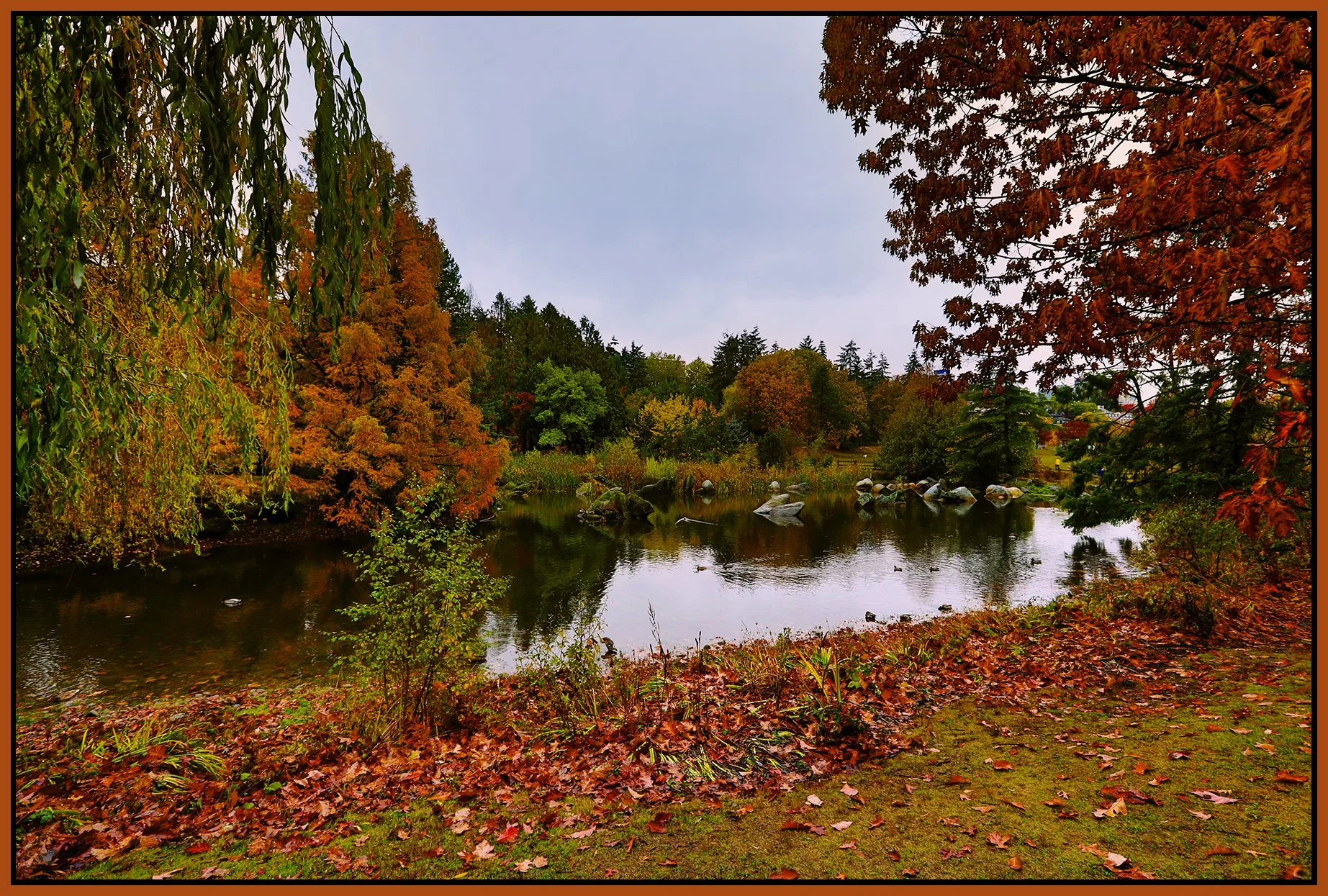 Charleson Pond_Nov 4_2022_HDR_5C4685_peEwgt_4x6s.jpg