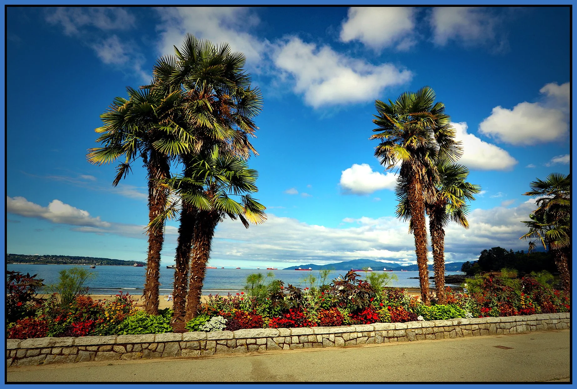 English Bay Palms_Aug 7_2025_HDR_4H0166_peDrkImpct_4x6s.jpg