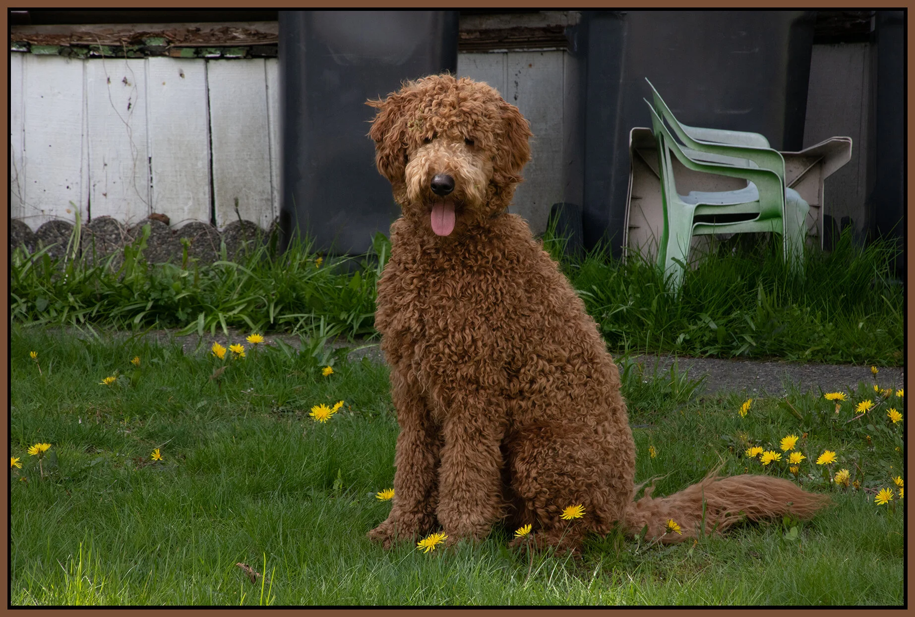 Browner in New West_Apr 29_2019_HDR_E6489_4x6s.jpg