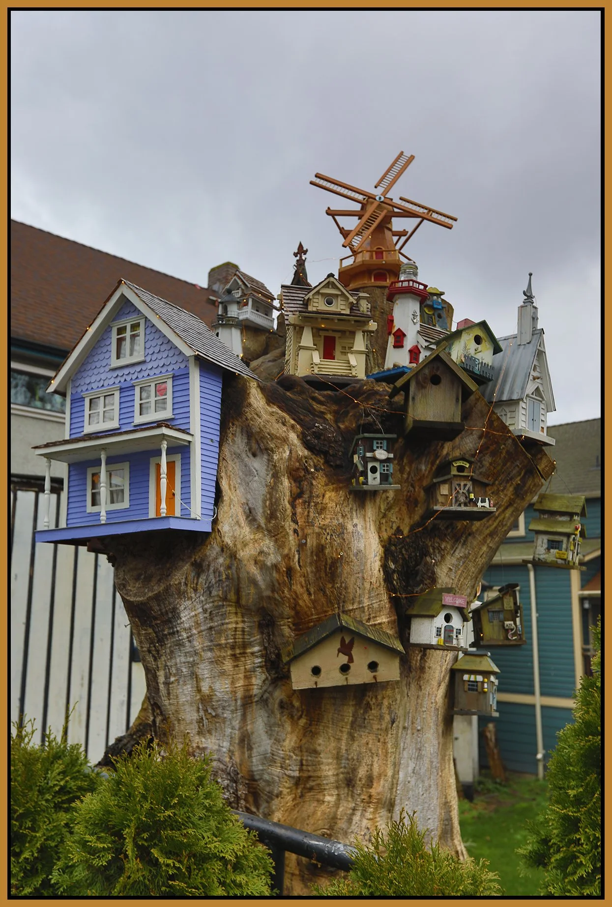 580 Heatley Bird Houses_Jan 8_2025_HDR_5E7397_4x6s.jpg