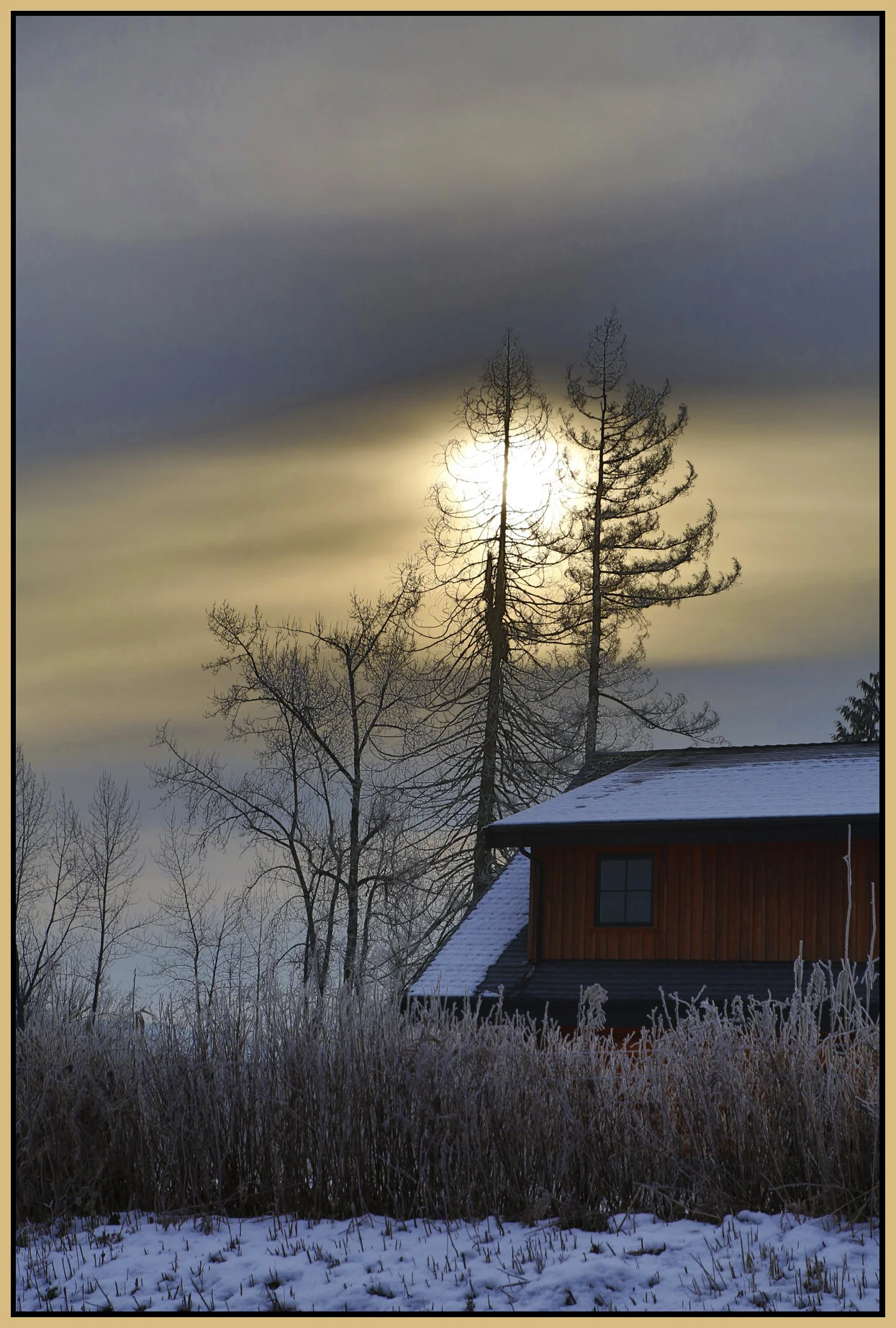 Langley Trees_Jan 2_2018_HDR_L0451_4x6s.jpg