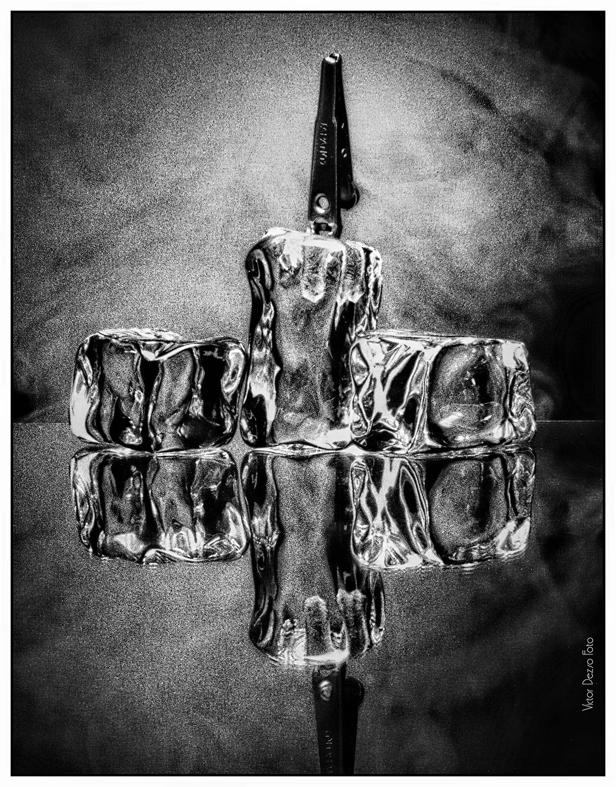 Ice Cube Clip_9487_peShrpfctBrDetl_AccntLight_4x5.jpg