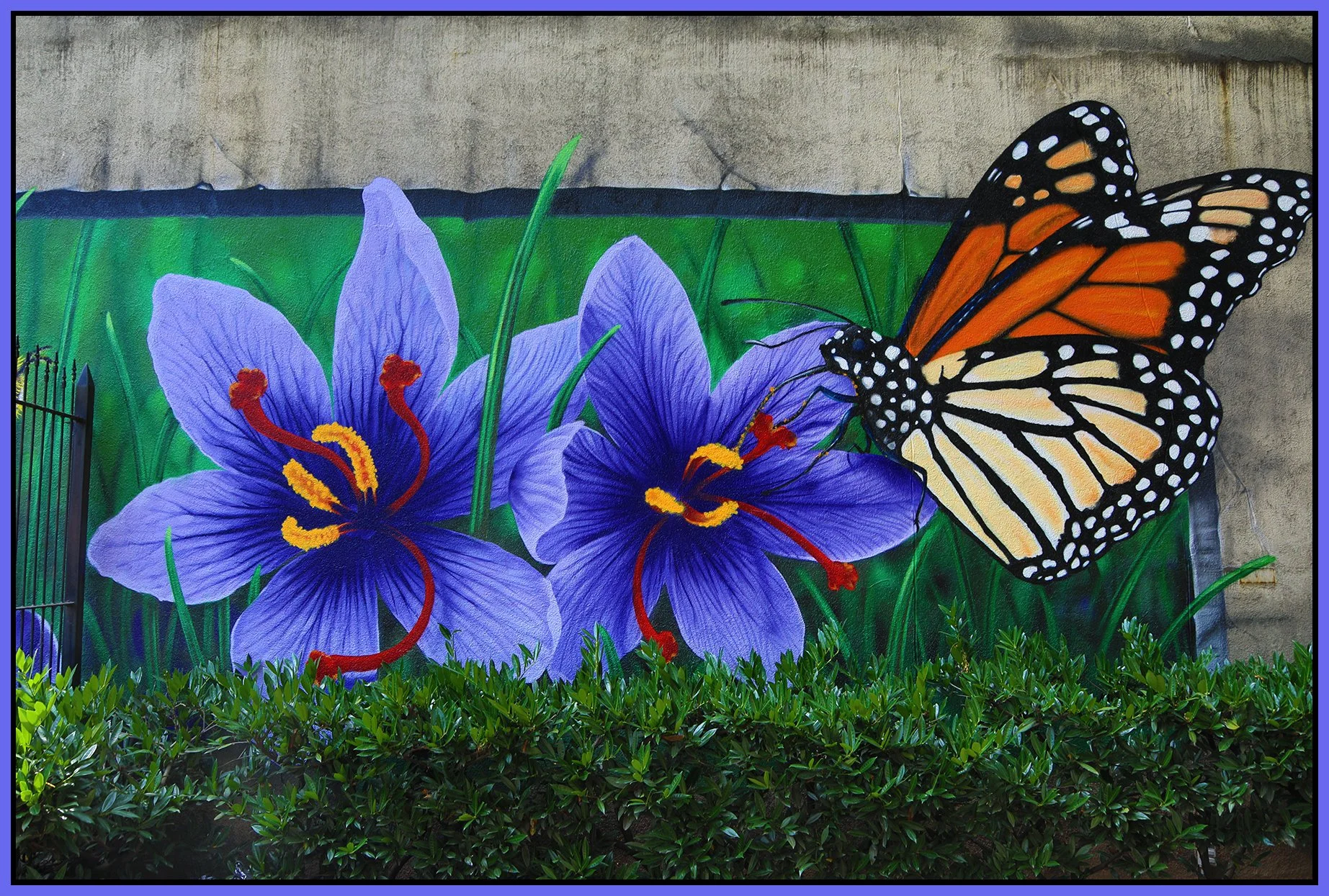 New West Columbia St Mural_Aug 12_2022_HDR_4H1831_4x6s.jpg