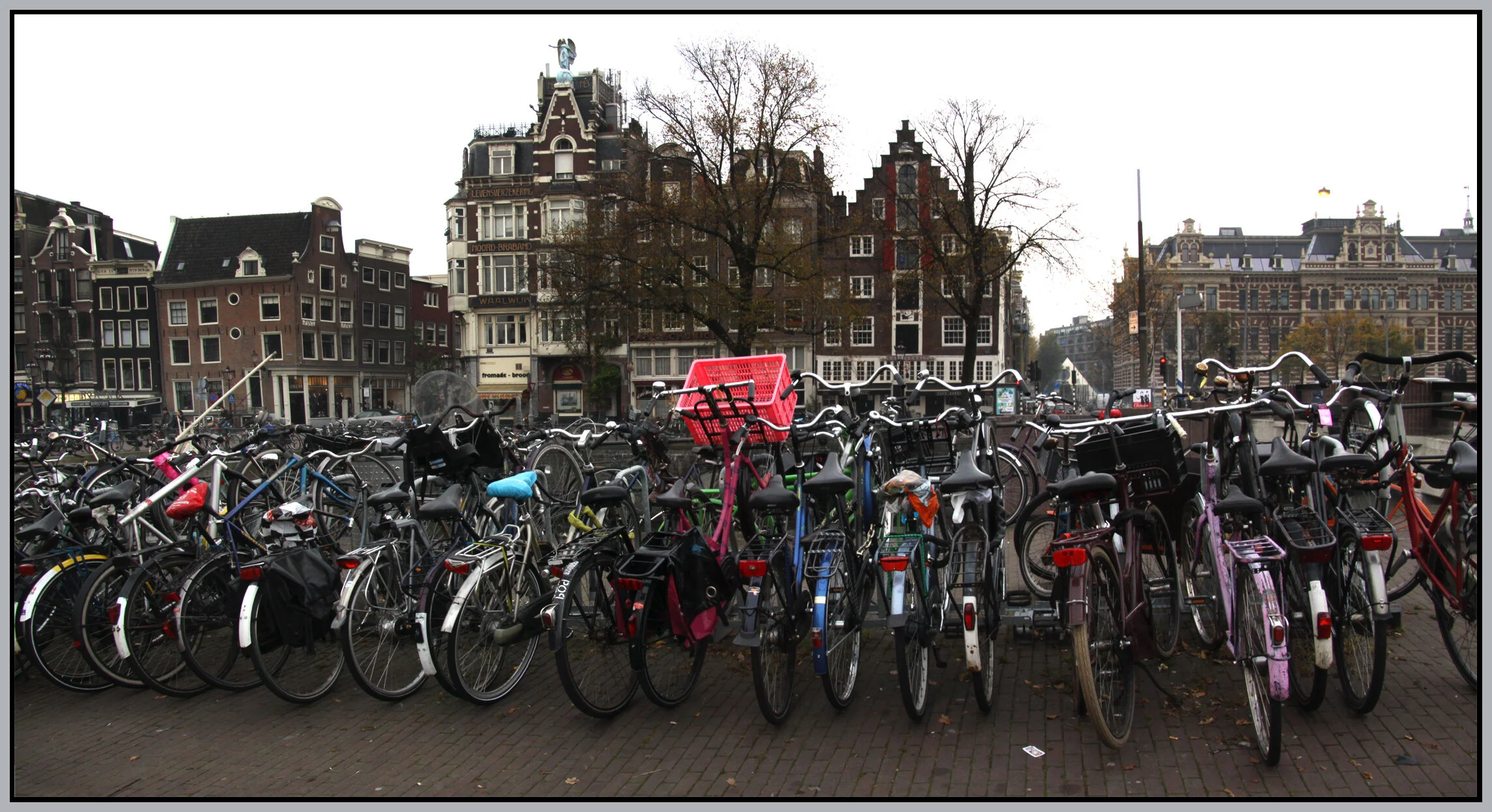 Amsterdam_Nov 8_2011_Pan_6679_4x7.5s.jpg