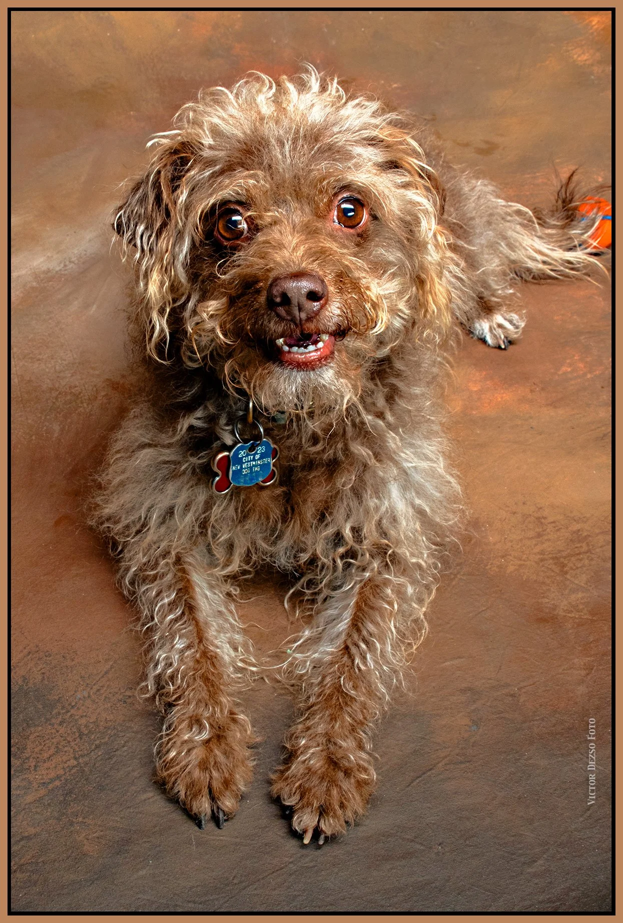 Frances_Jun 11_2023_4H7698_peVenice_1_4x6s.jpg