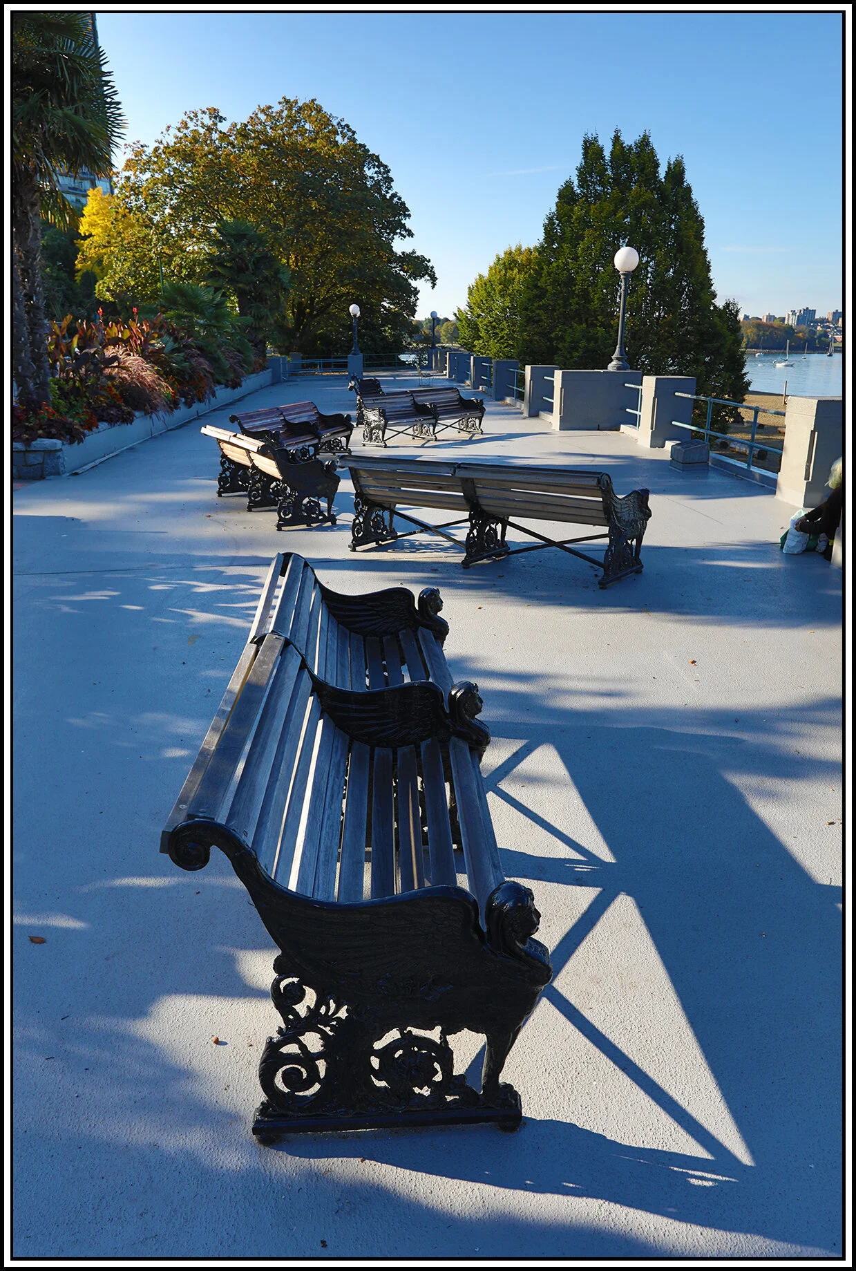 Benches English Bay_Sep 18_2018_HDR_D0096_4x6s.jpg