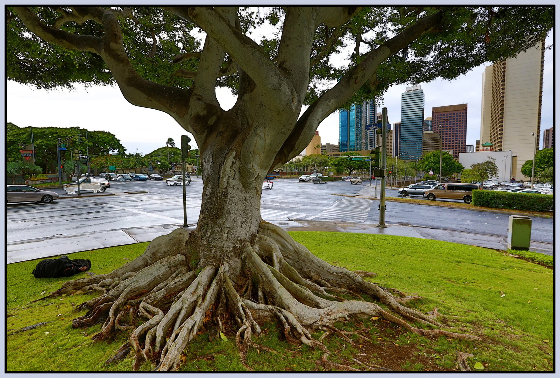 Hawaii_Nov 17 2012_HDR_C9269e_4x6s.jpg