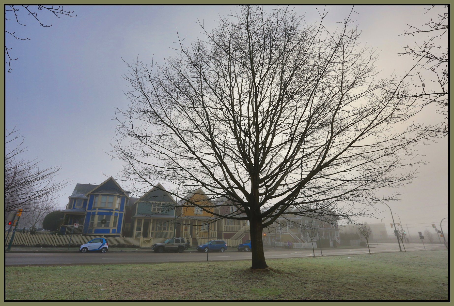 Chinatown Trees_Jan 1_2016_HDR_K1882_4x6s.jpg