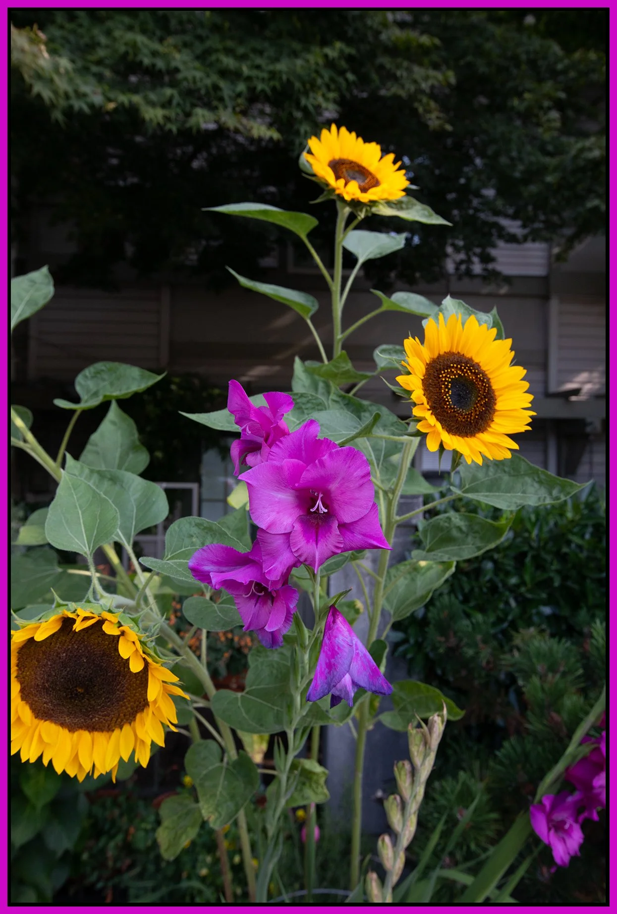 Flowers 2300 W Broadway_Aug 9_2026_CR2_4L9579_4x6s.jpg