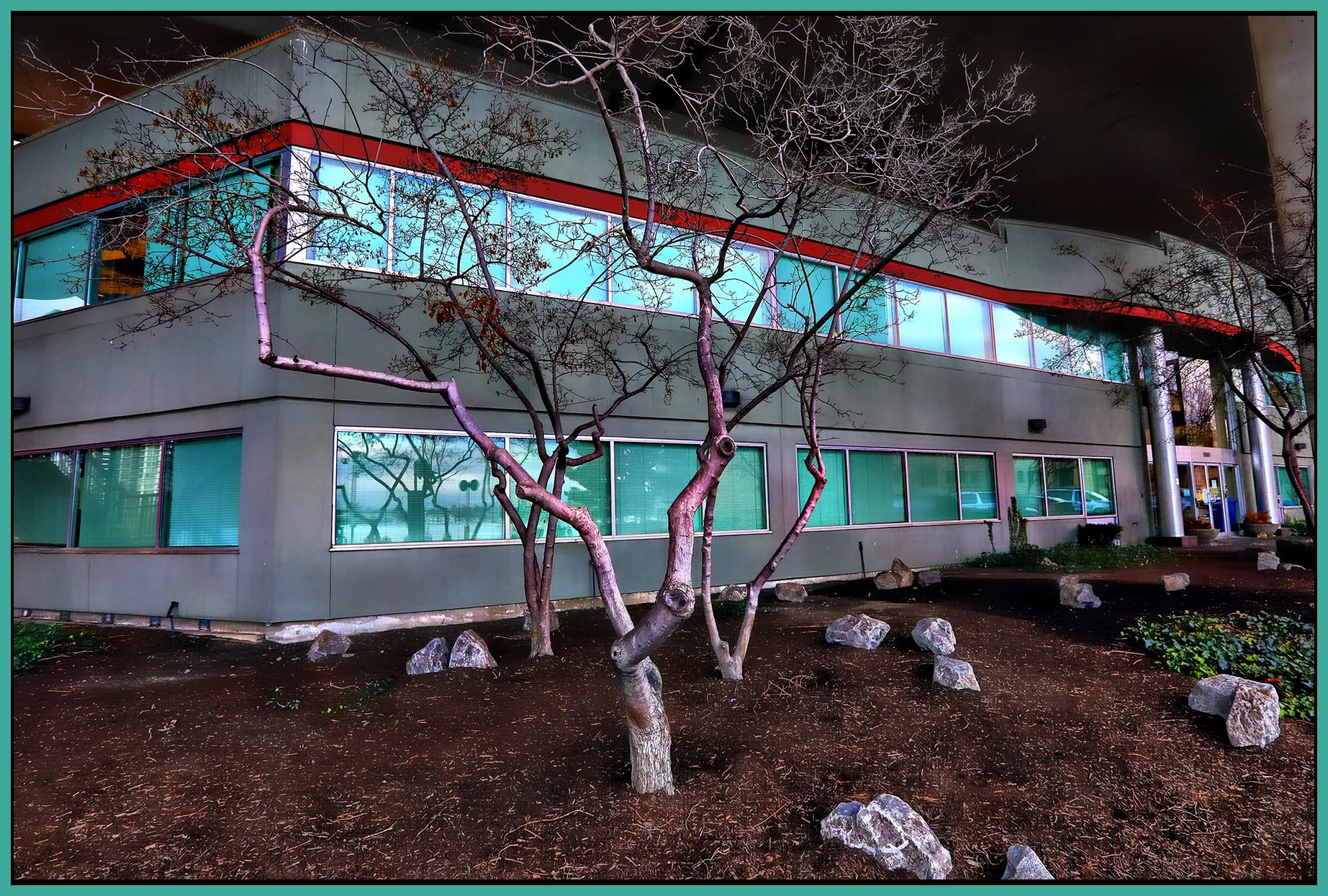 3 View False Creek Trees_Dec 11_2022_HDR_5C9078_peHdr2013_1_4x6s.jpg