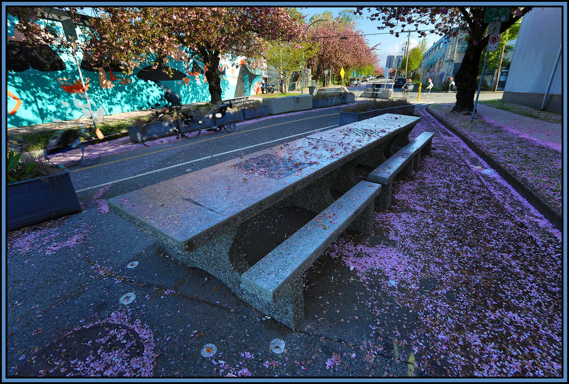 Benches on Vernon Dr_Apr 24_2019_HDR_E3848_4x6s.jpg