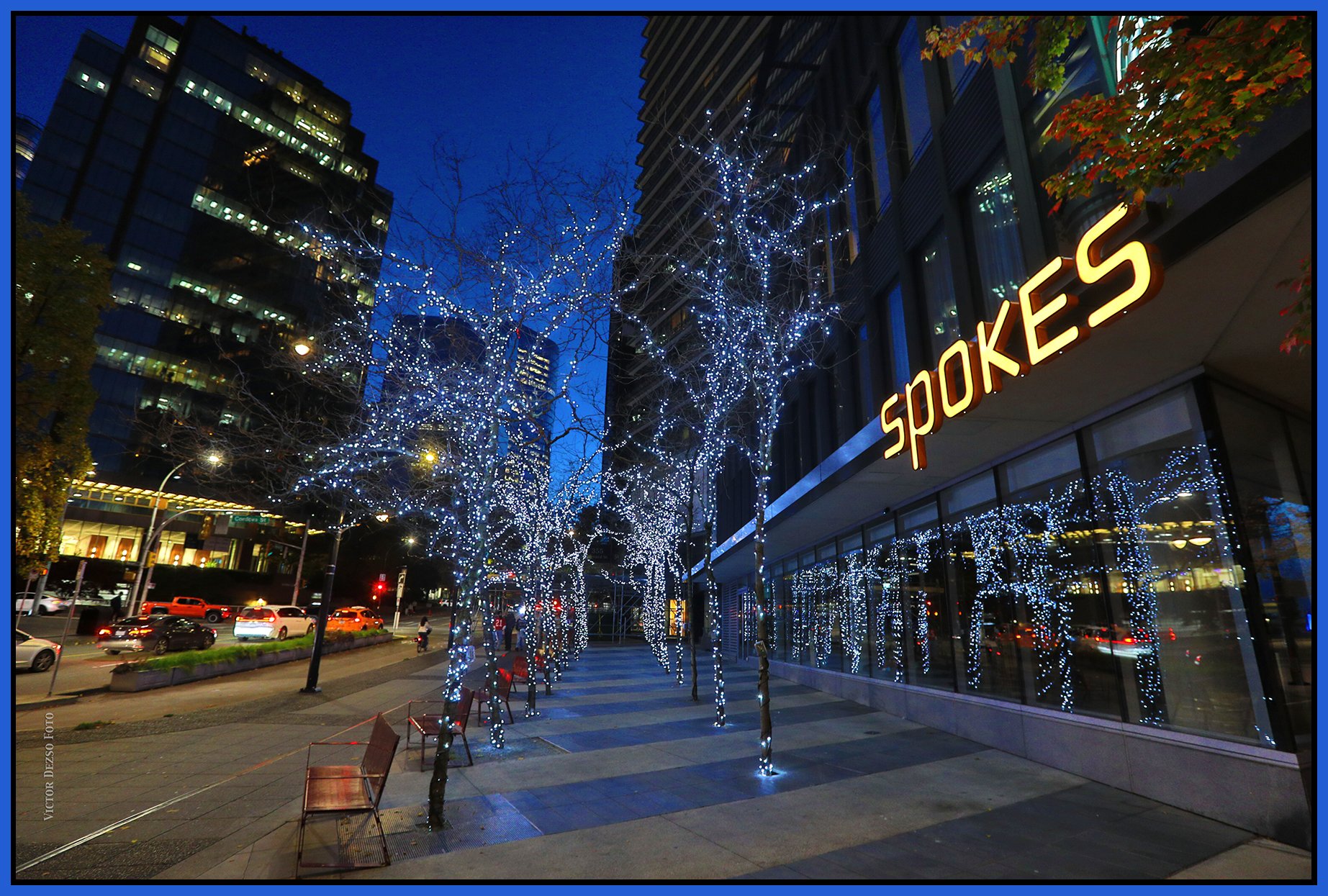 Burrard St Trees_Oct 23_2026_HDR_4L5653_4x6s.jpg