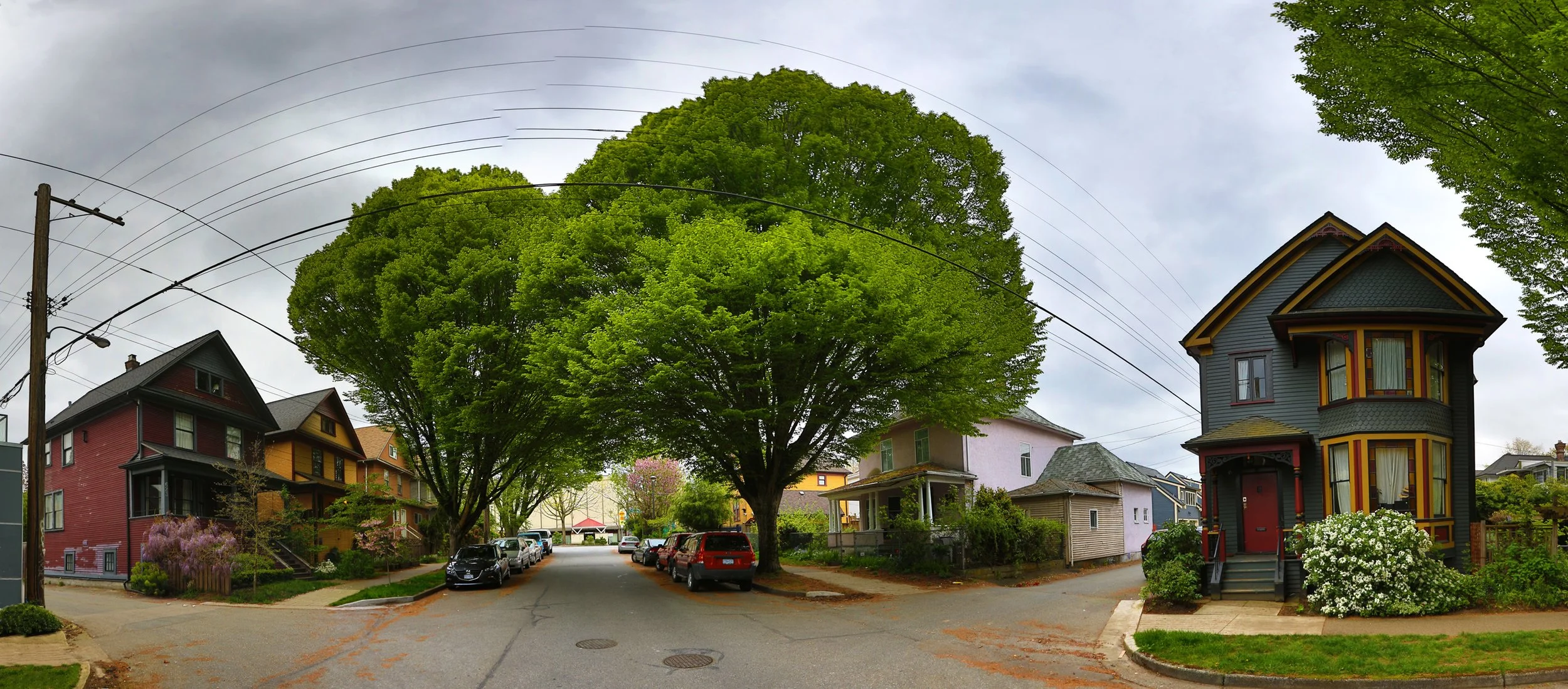 630 Princess_Apr 15_2016_HDR_Pan_K0755_1_4x9.jpg