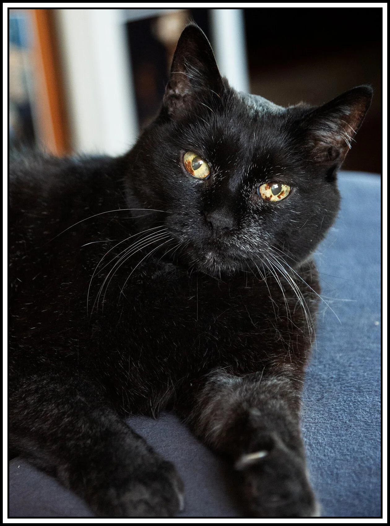 CC_July 21_2019_12,800_CR2_A7352_4x6s.jpg