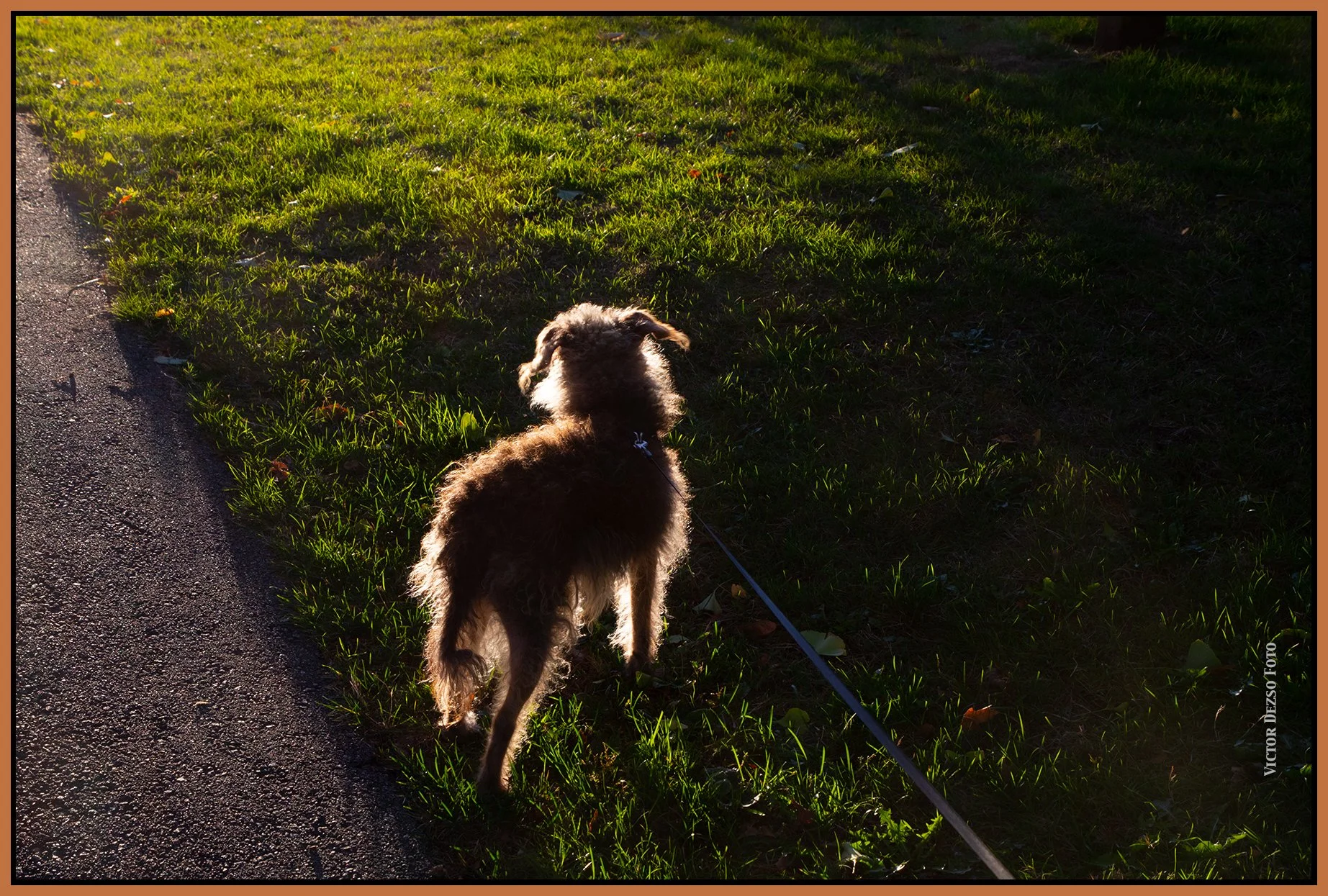 Frances_Oct 11_2026_4L4646_4x6ss.jpg