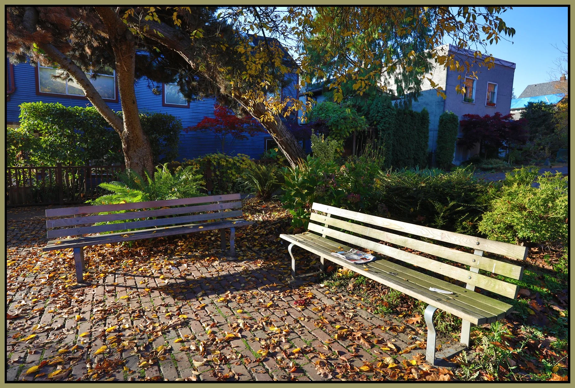 Bench on Hawks Ave_Oct 30_2017_HDR_B5496_4x6s.jpg