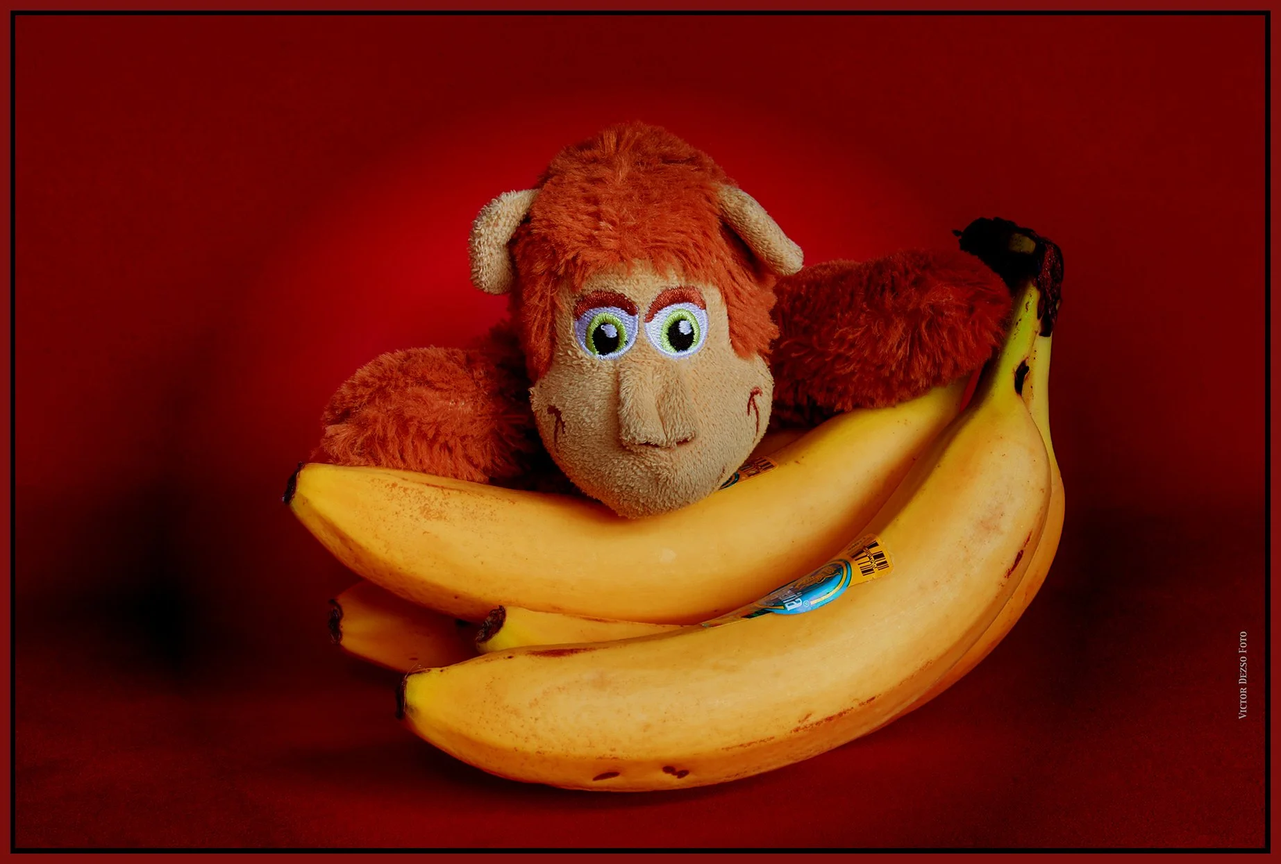 Monkey_Feb 16_2025_HDR_4J5671_peDecRadVig&NatB II_4x6s.jpg