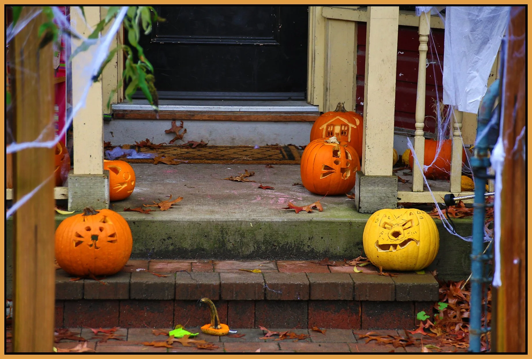 Pumpkins_Nov 2_2015_HDR_H9585_4x6s.jpg