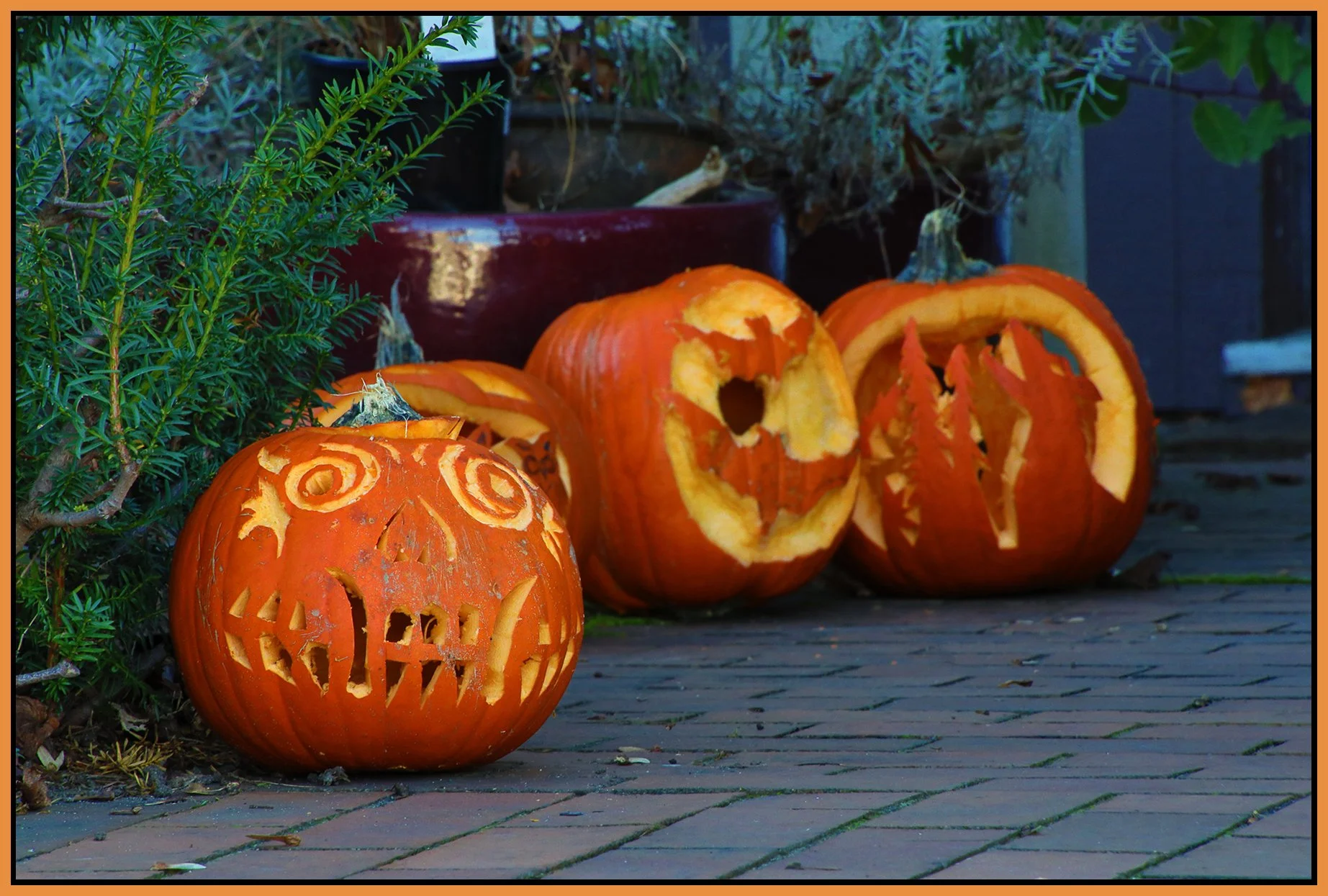 Pumpkins_Oct 31_2021_HDR_4G4506_4x6s.jpg