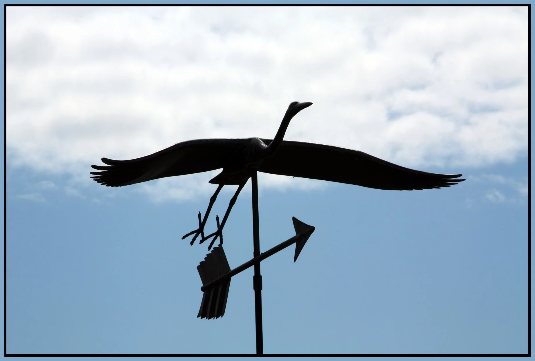 WVanWeather Vane-Jun 14_2008_1163_4x6s.jpg