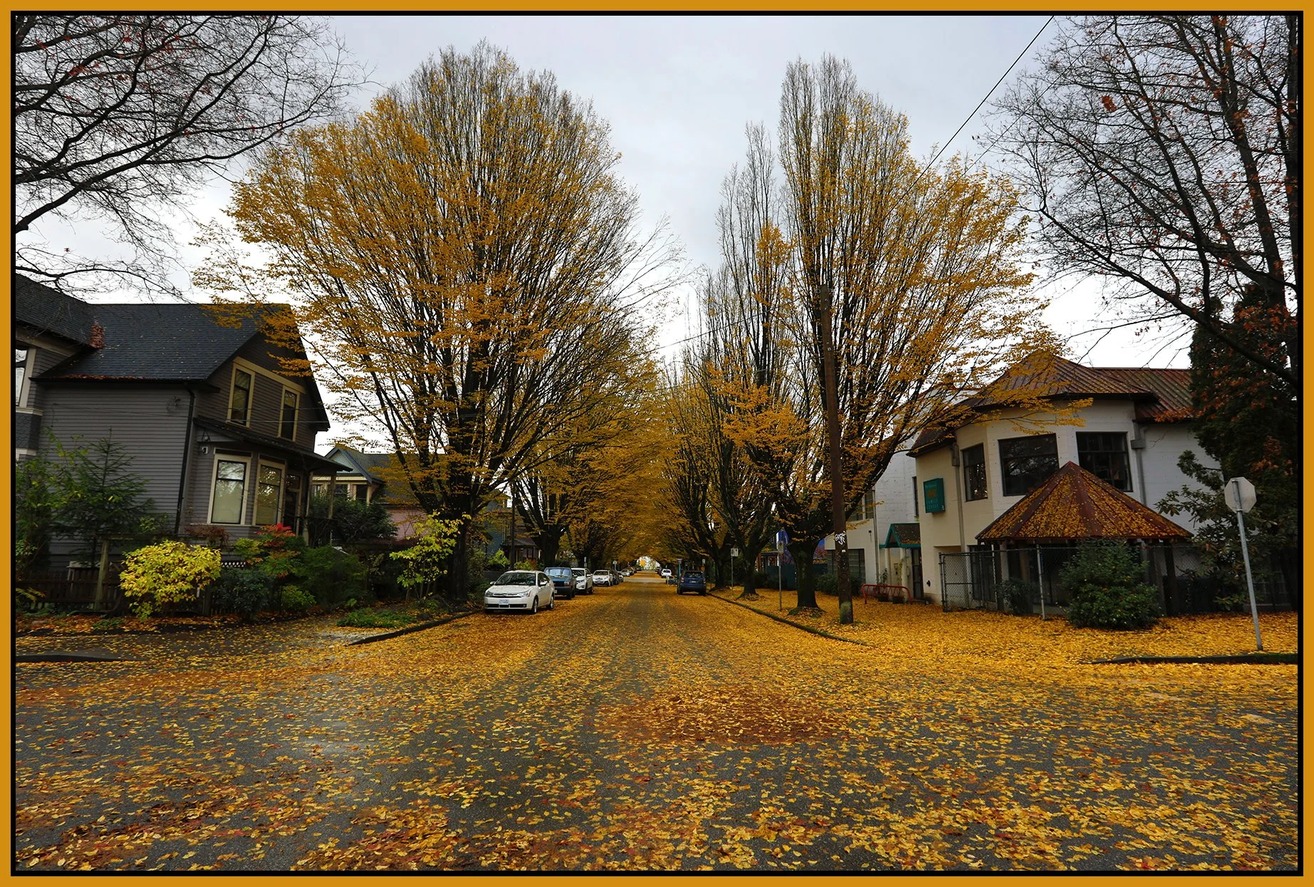 700 Princess Ave LkgS Trees_Nov 12_2023_HDR_5C9356_4x6s.jpg