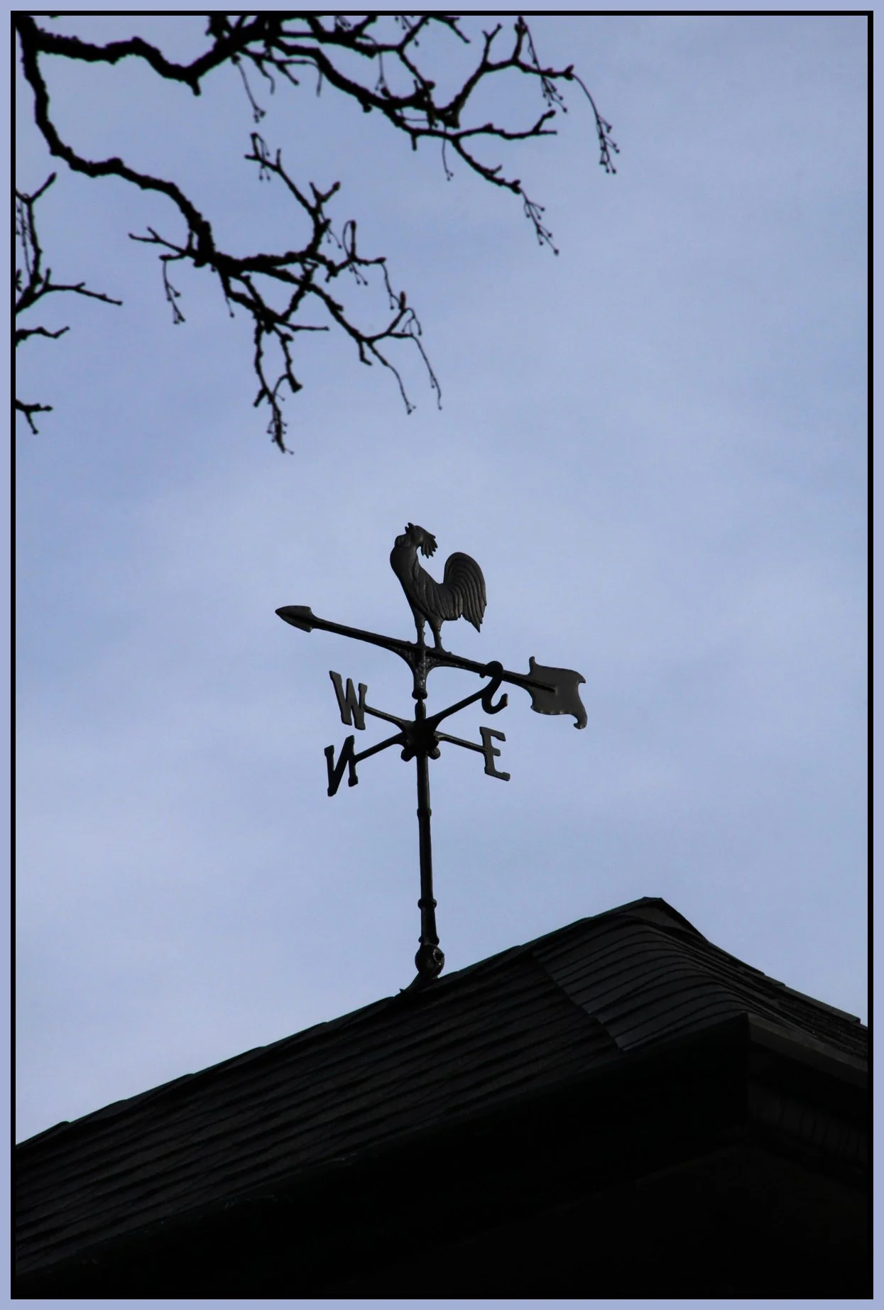 Weather Vane_Feb 5_2012_8974_4x6s.jpg