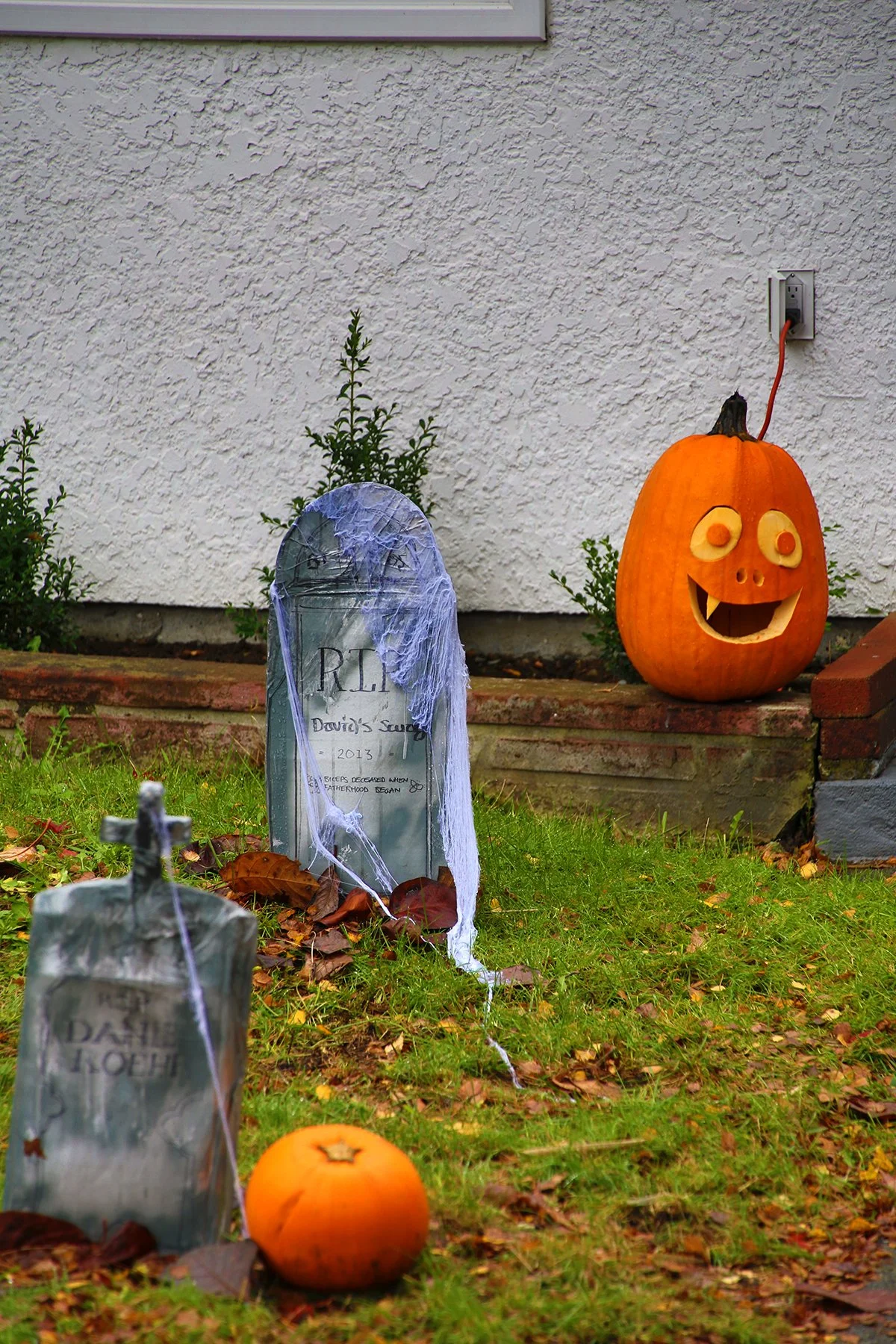 Pumpkins_Nov 2_2015_HDR_H9545_4x6.jpg