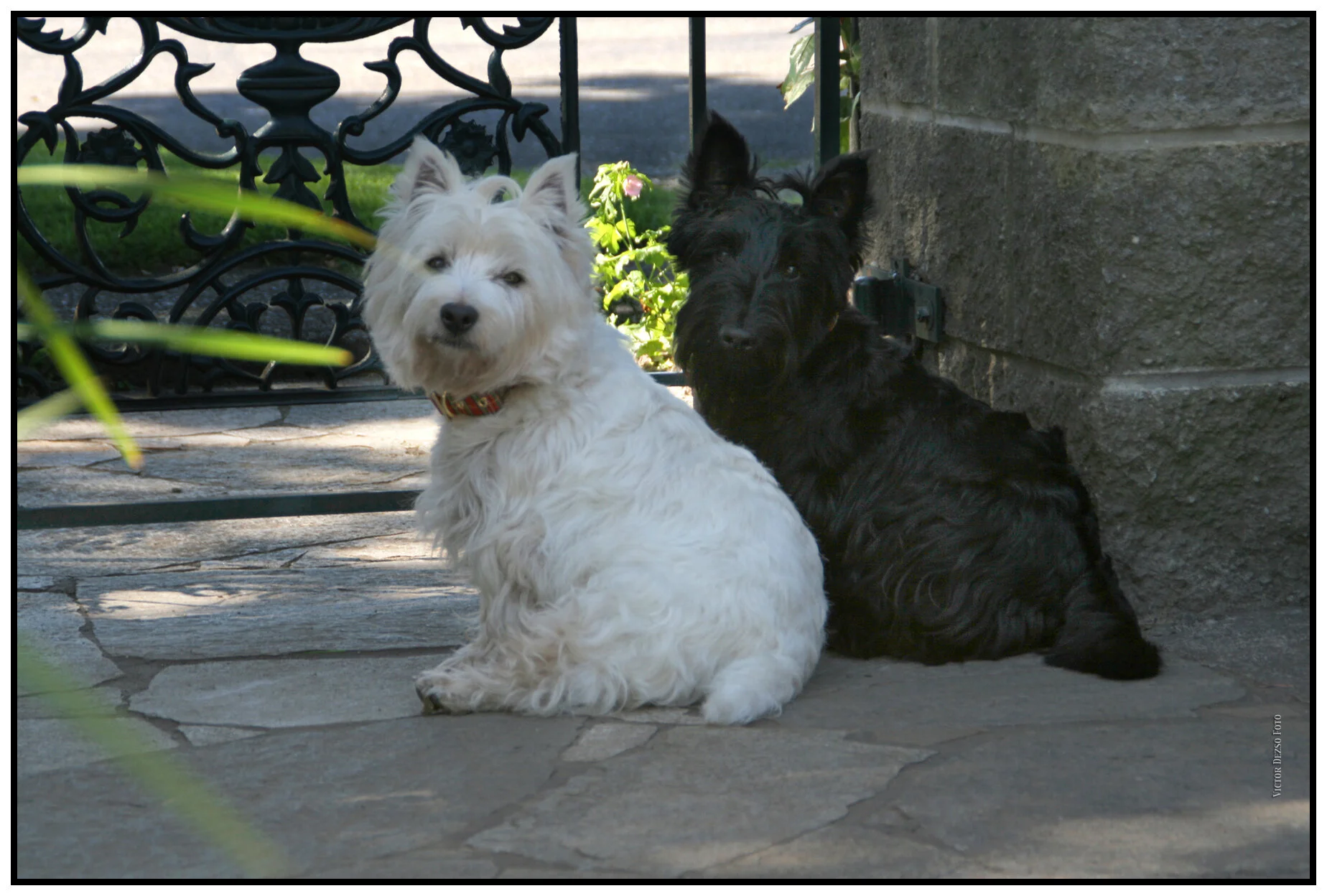 Soda & Heather_8192_4x6s.jpg