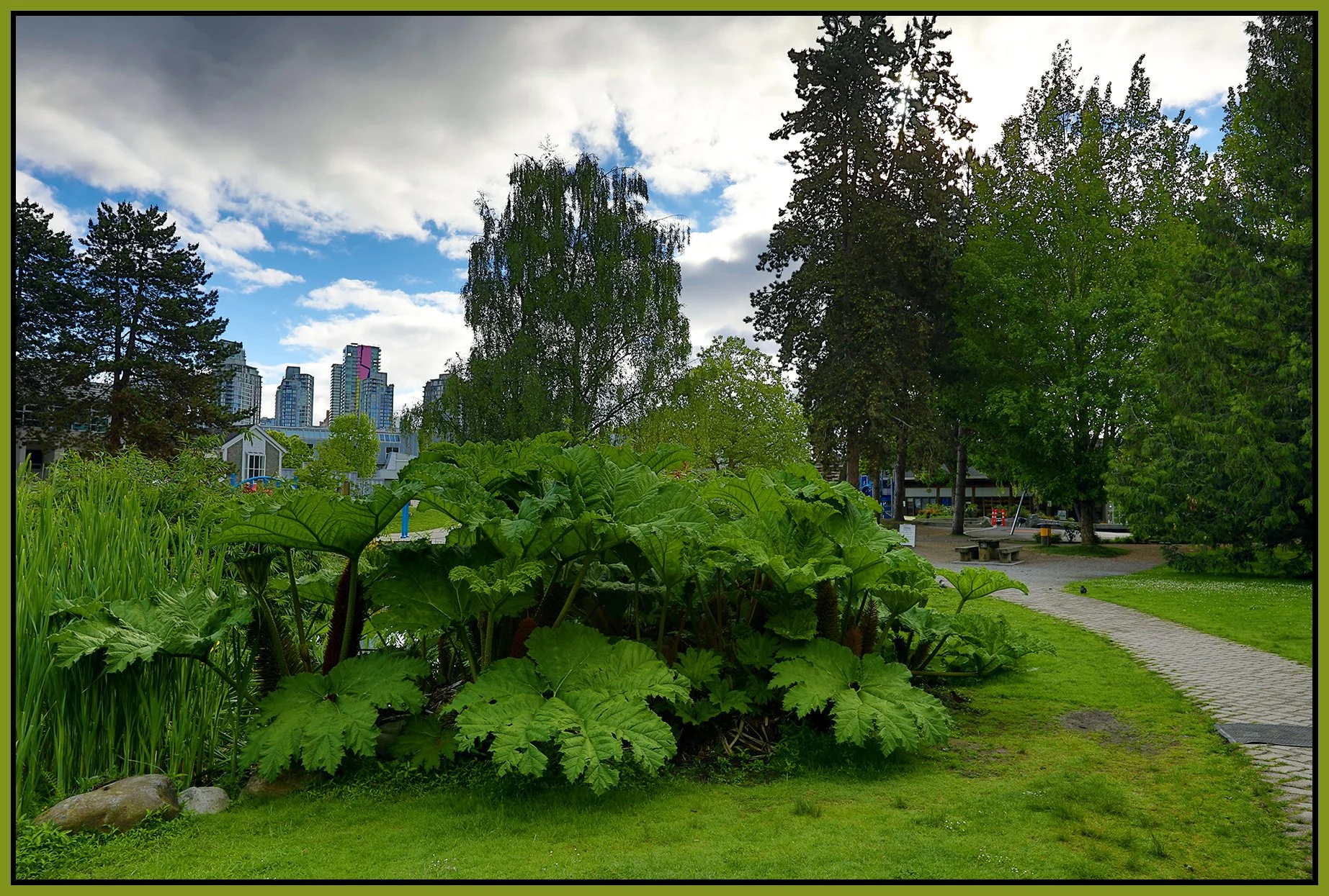 Granville Island Plants_May 28_2021_HDR_5A5655_4x6s.jpg