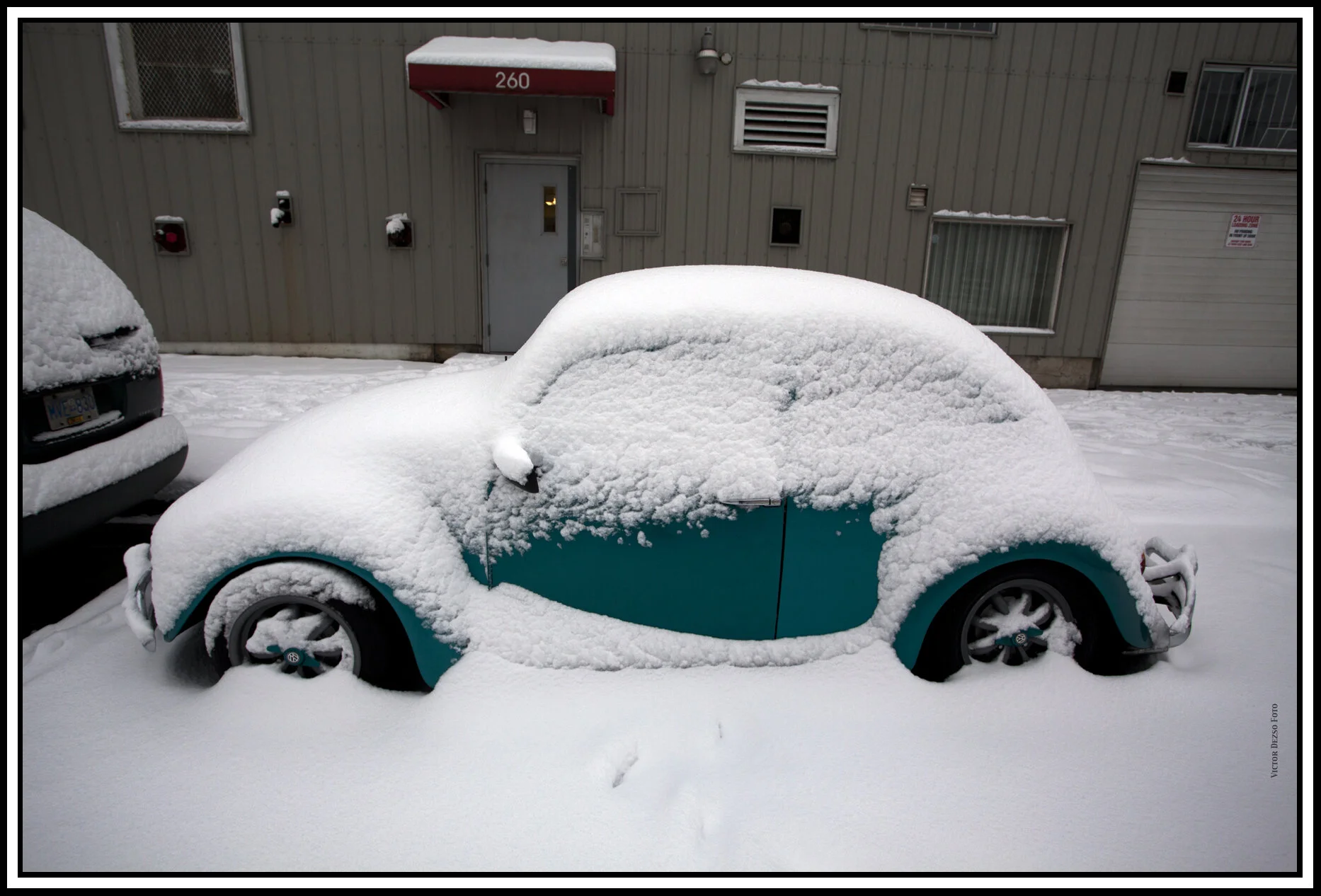 VW Bug_Feb 27_2011_4202_4x6s.jpg
