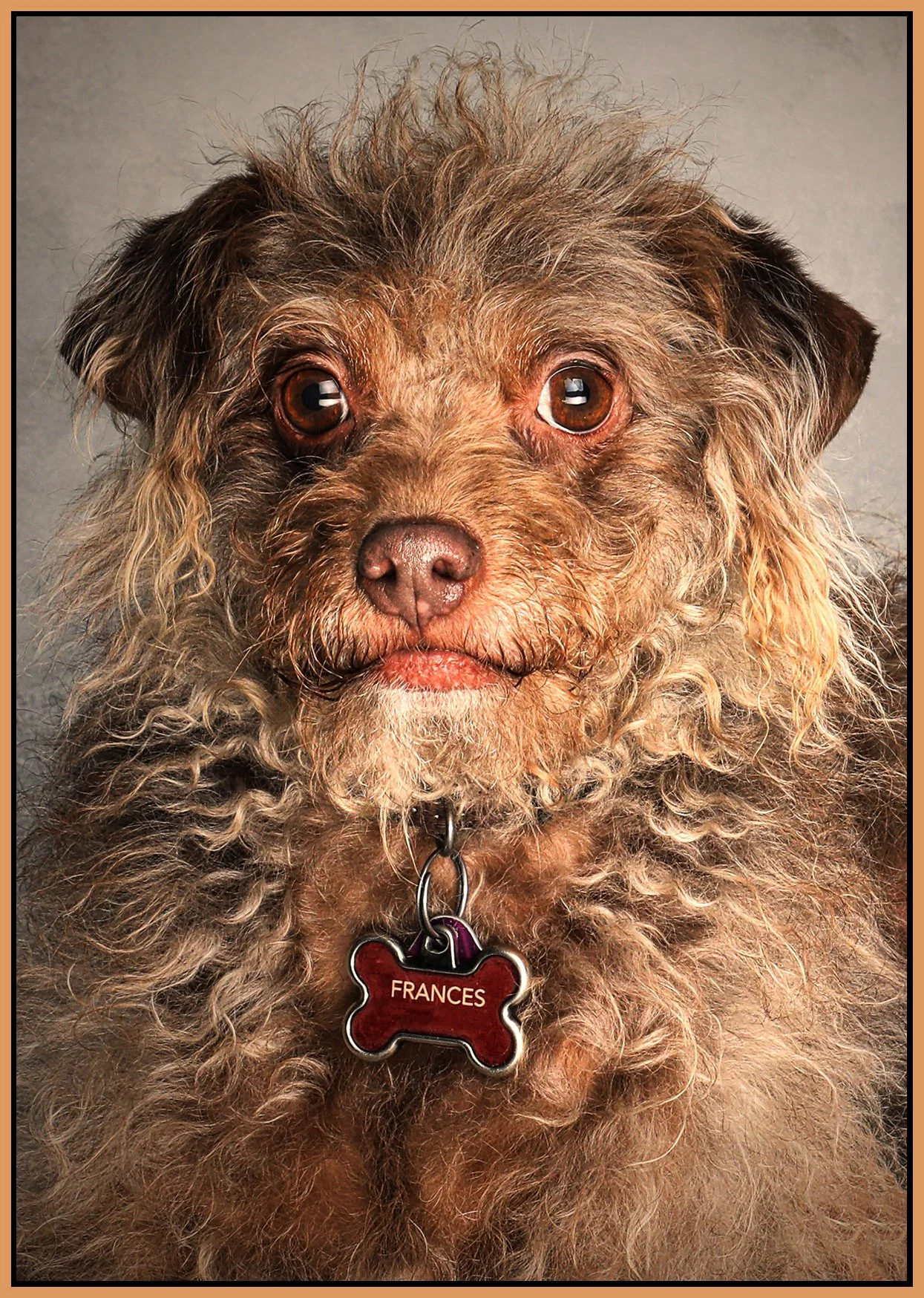 Frances_Mar 16_2022_5B0560_1_peHyprstrip_IntnsDet_4x6s_1.jpg