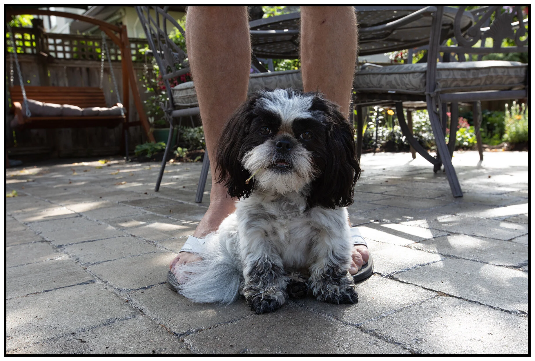 Lucy in New West_Jun 2_2019_CR2_E7674_4x6s.jpg