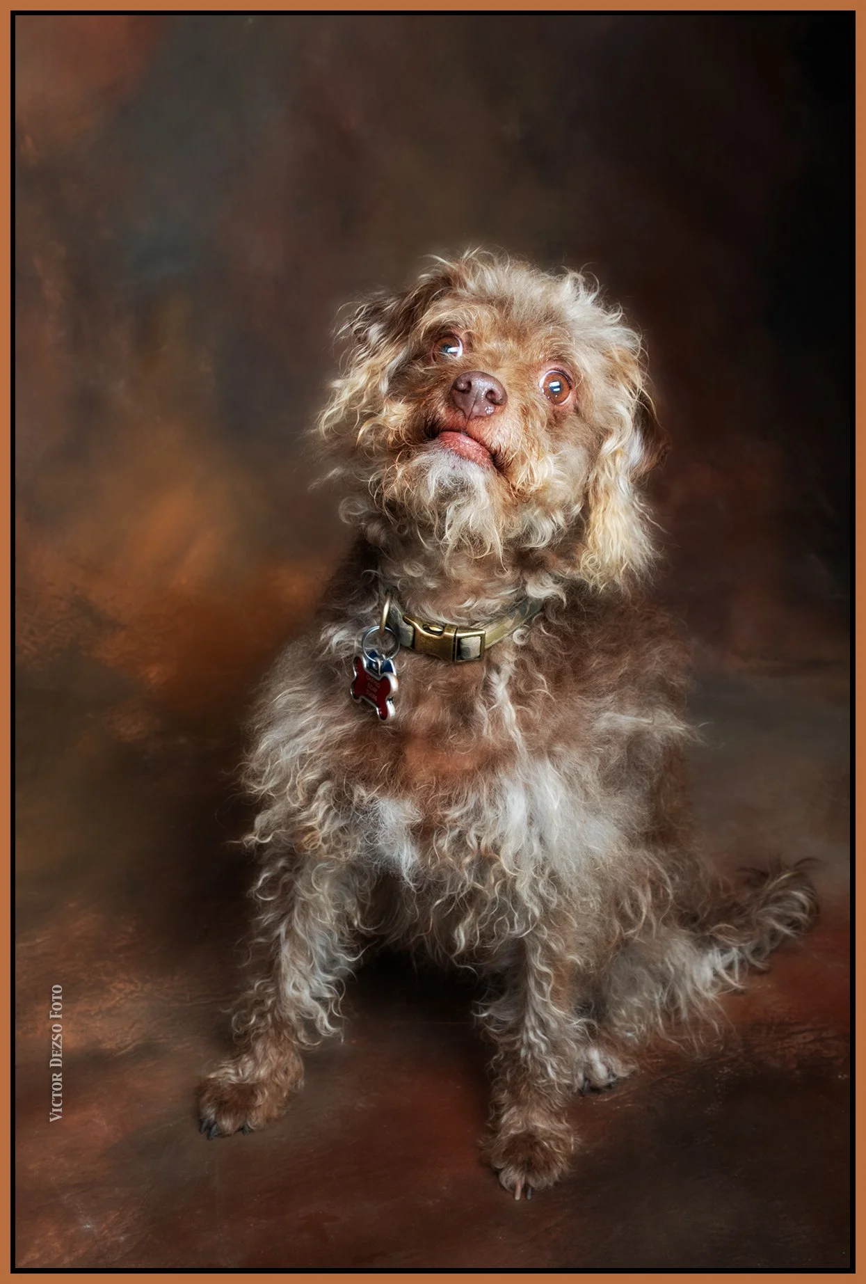 Frances_Jun 11_2023_4H7702_peSat&Glo_4x6s.jpg