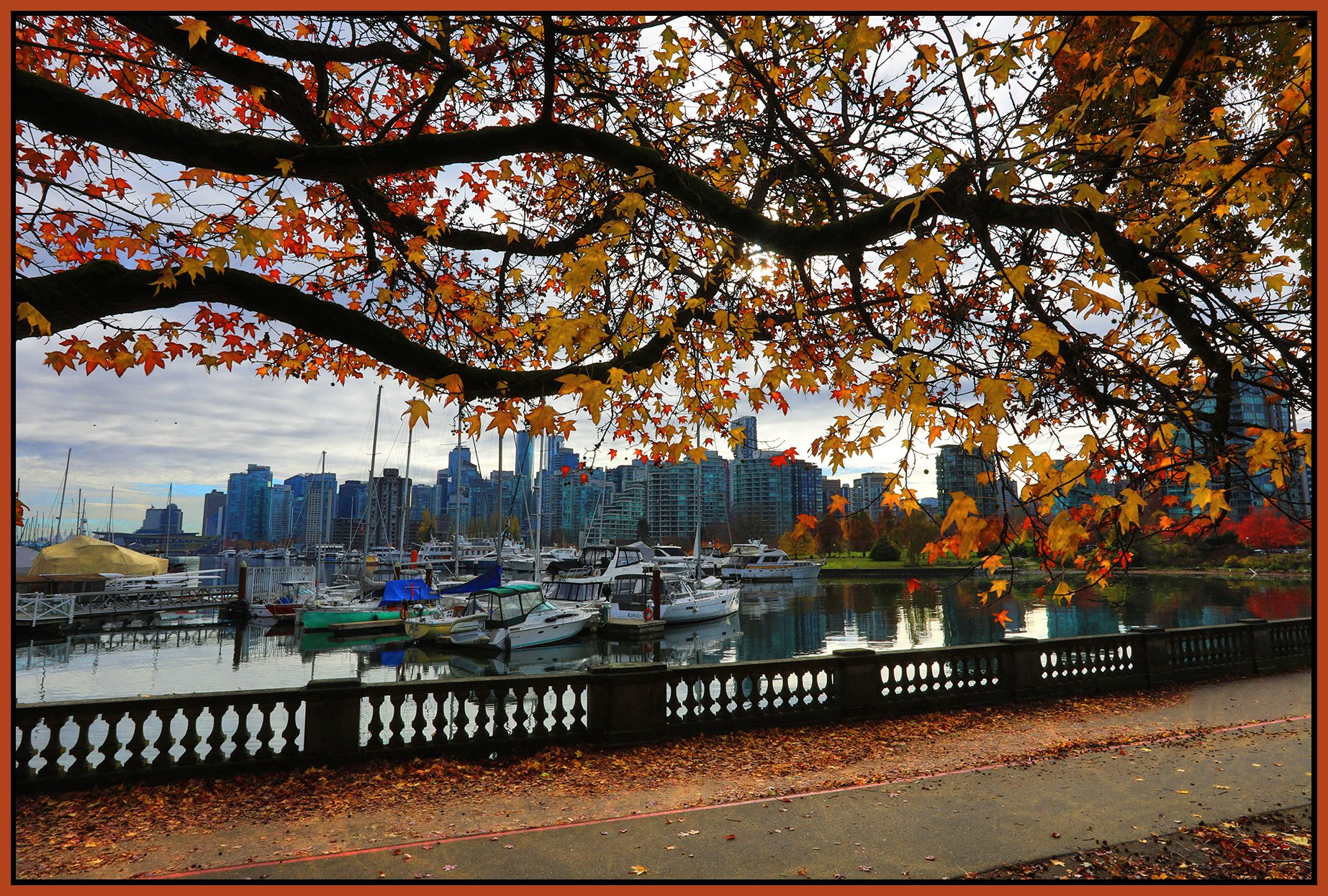 Vancouver from Stanley Park_Nov 7_2024_HDR_5E4359_peUndrwatrRefrction_4x6s.jpg