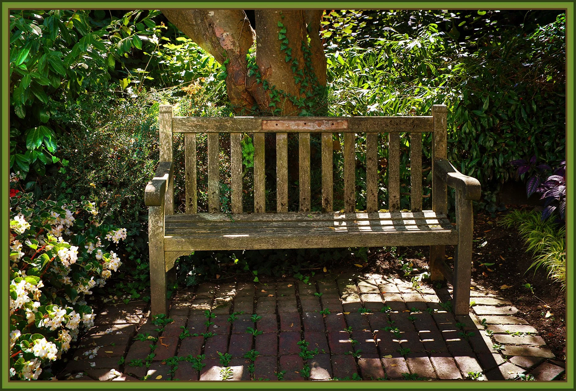 Bench_New West_Aug 27_2018_HDR_D5350_peBokeLoSat_4x6s.jpg