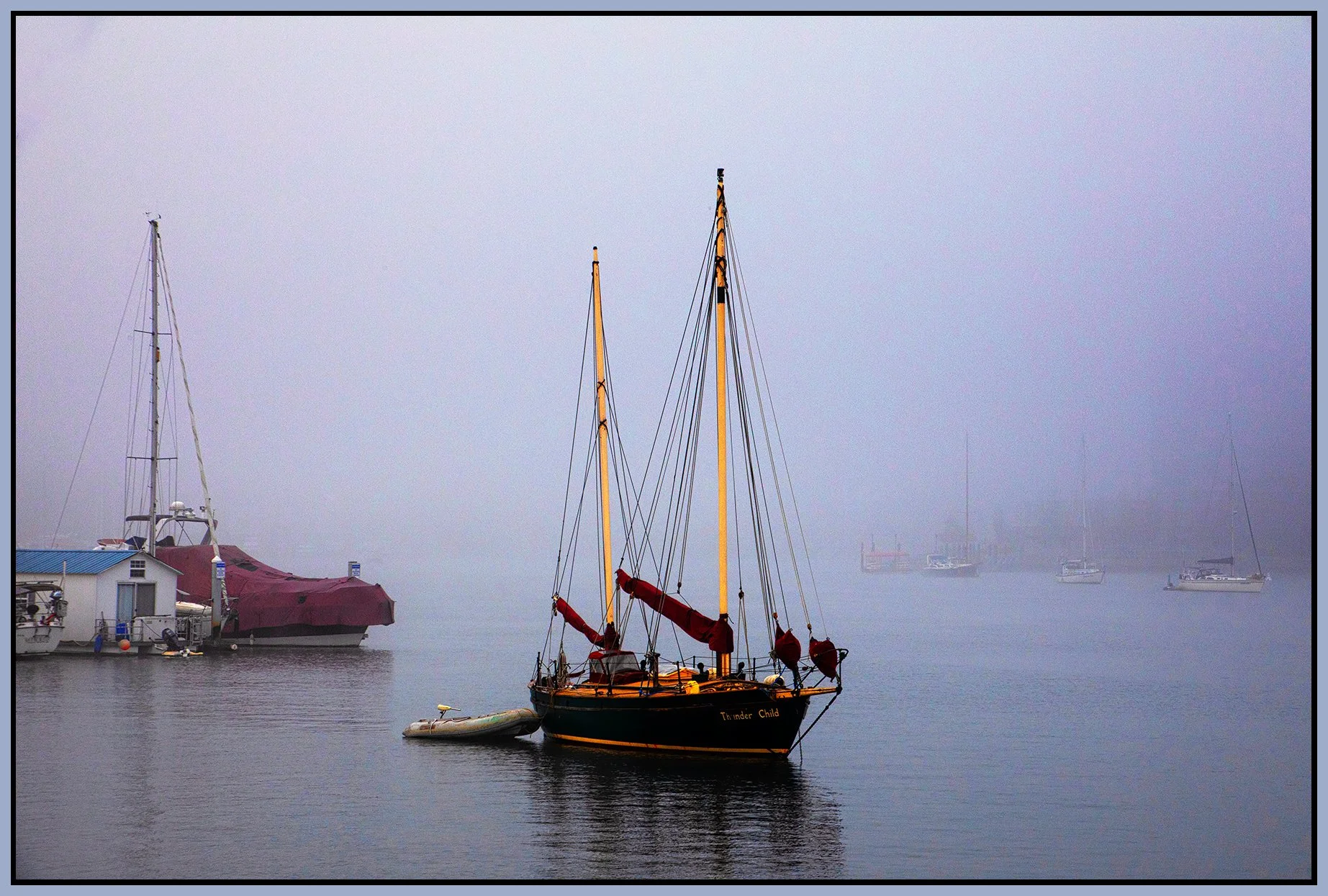 False Creek Fog_Nov 26_2023_CR2_4H9221_peCntrst_Shrpn&Brtn_4x6s.jpg