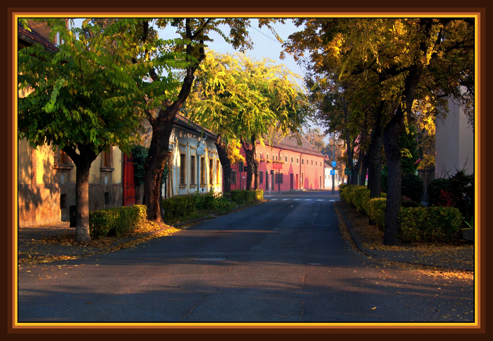 Vác_Nov 1_2011_3893_peURV&Hdri_4x6s.jpg